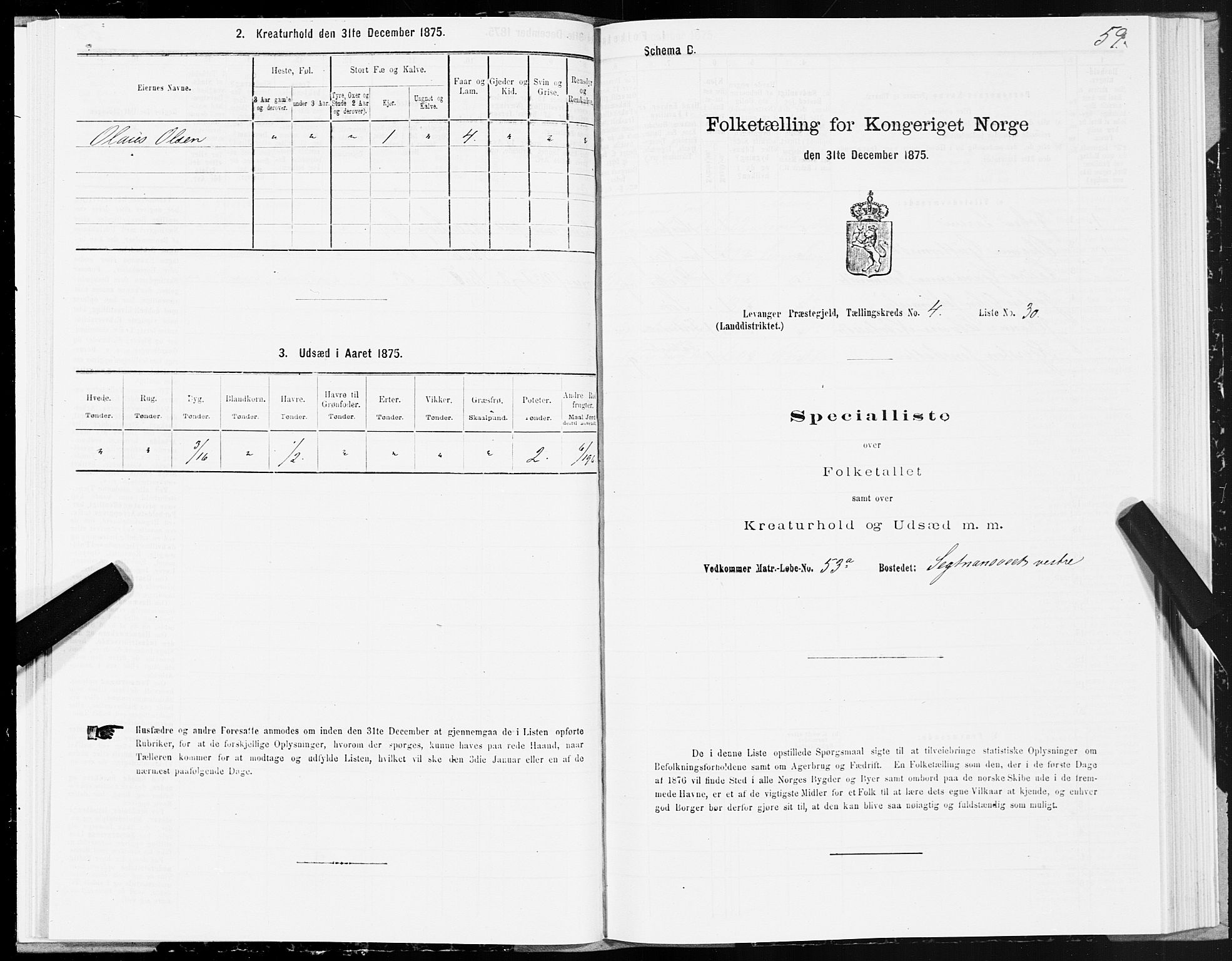 SAT, Folketelling 1875 for 1720L Levanger prestegjeld, Levanger landsokn, 1875, s. 3059