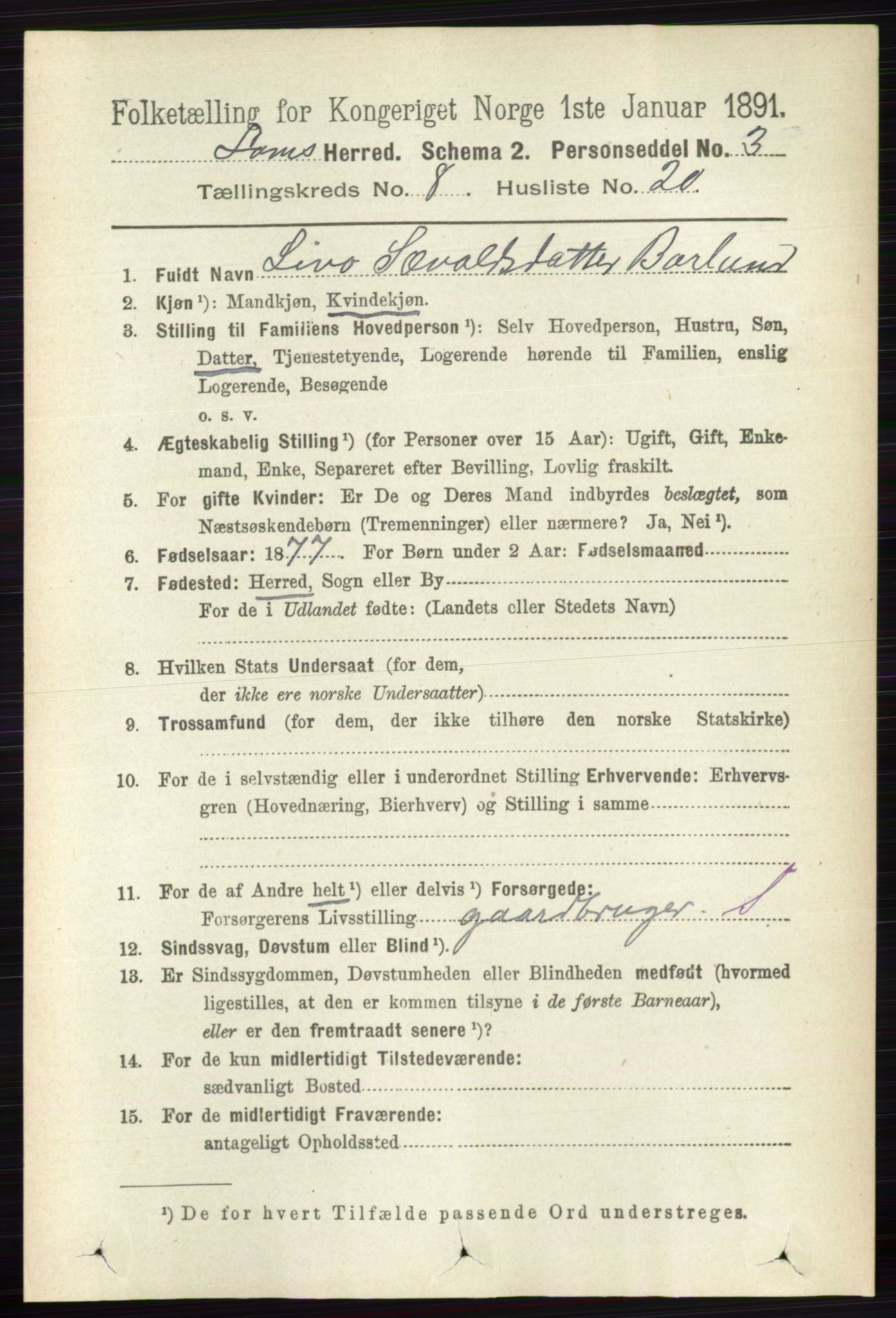 RA, Folketelling 1891 for 0514 Lom herred, 1891, s. 3213