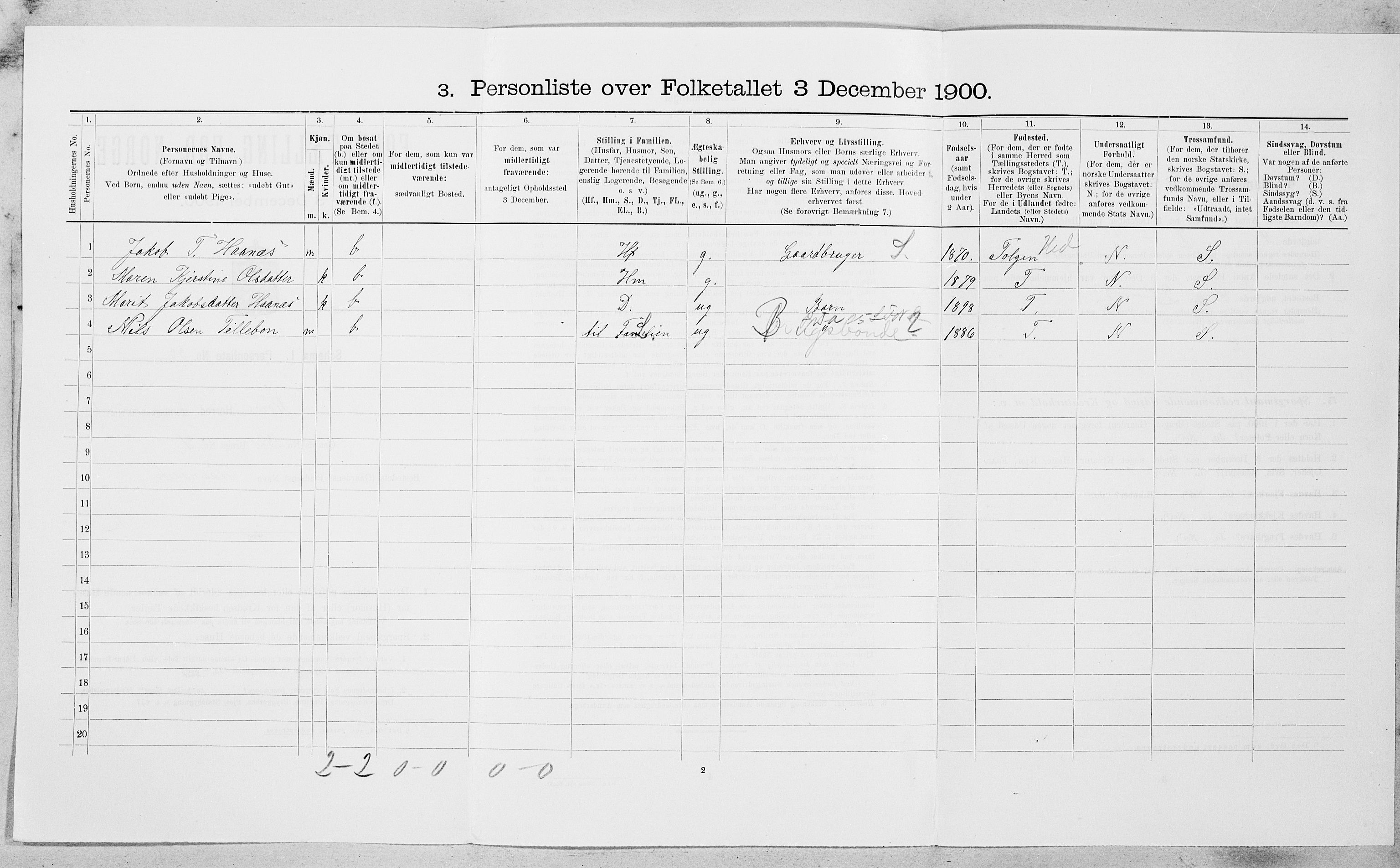 SAT, Folketelling 1900 for 1640 Røros herred, 1900, s. 841