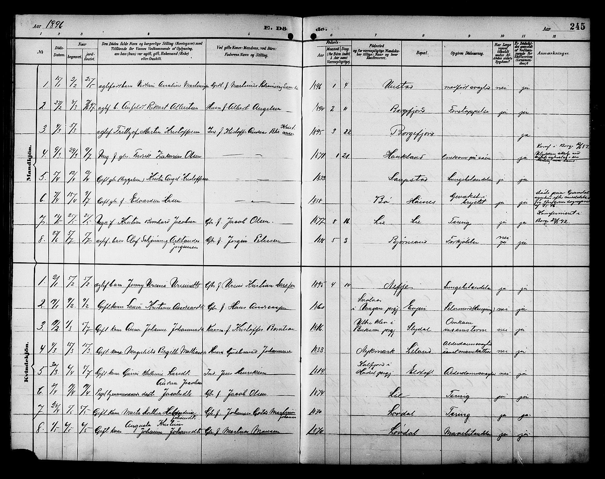 Ministerialprotokoller, klokkerbøker og fødselsregistre - Nordland, AV/SAT-A-1459/880/L1141: Klokkerbok nr. 880C03, 1893-1928, s. 245