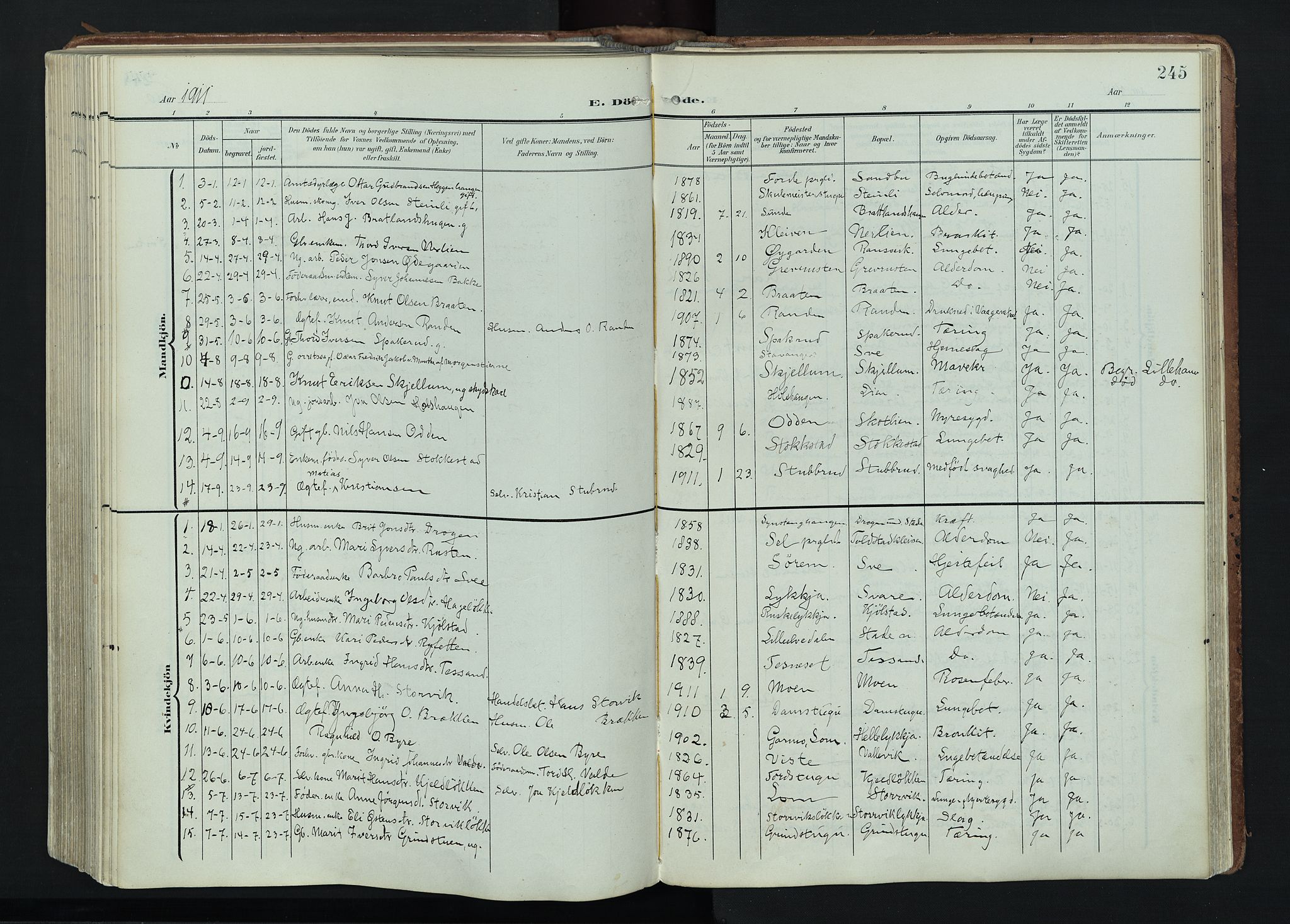 Vågå prestekontor, AV/SAH-PREST-076/H/Ha/Haa/L0011: Ministerialbok nr. 11, 1905-1924, s. 245