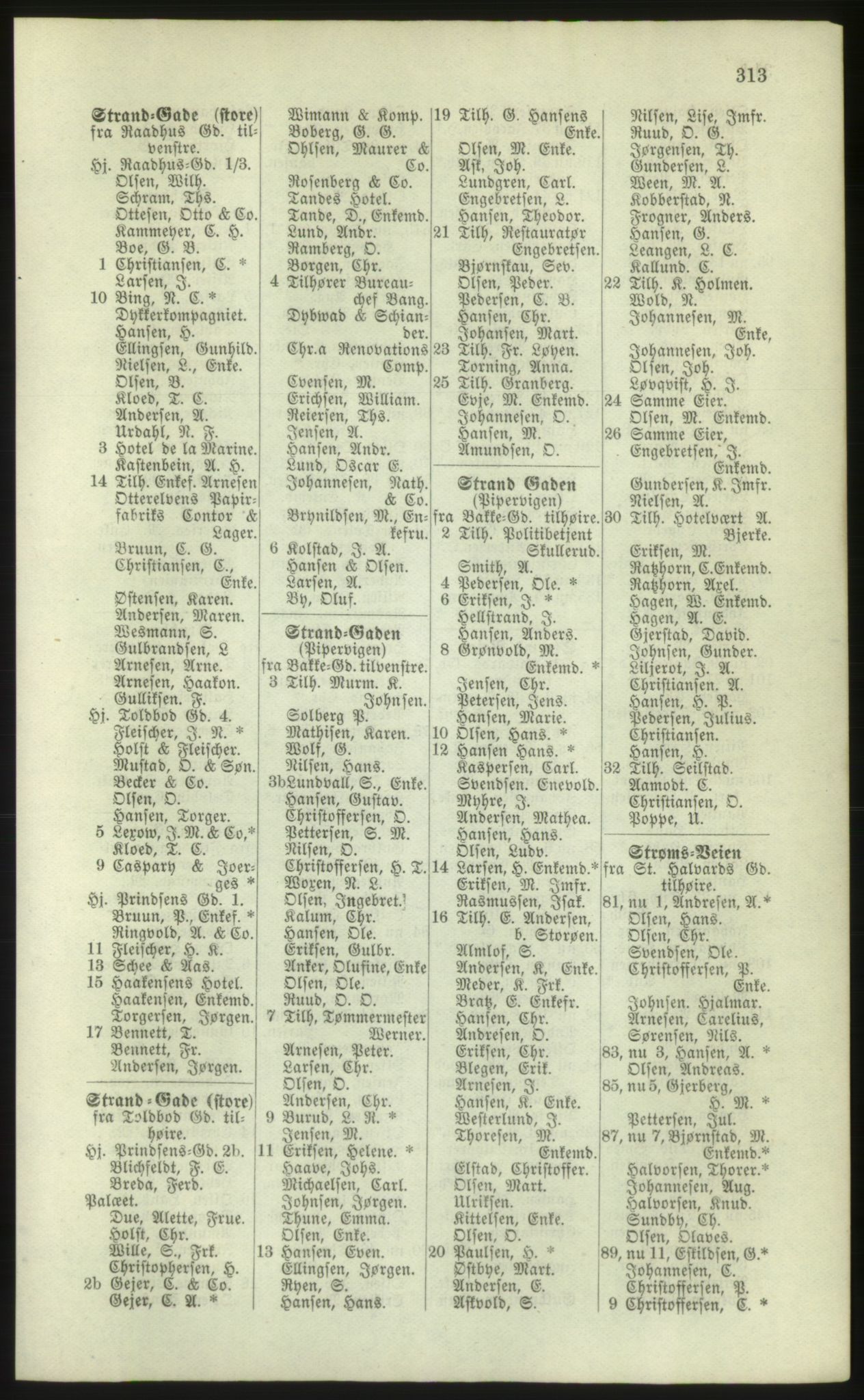 Kristiania/Oslo adressebok, PUBL/-, 1881, s. 313