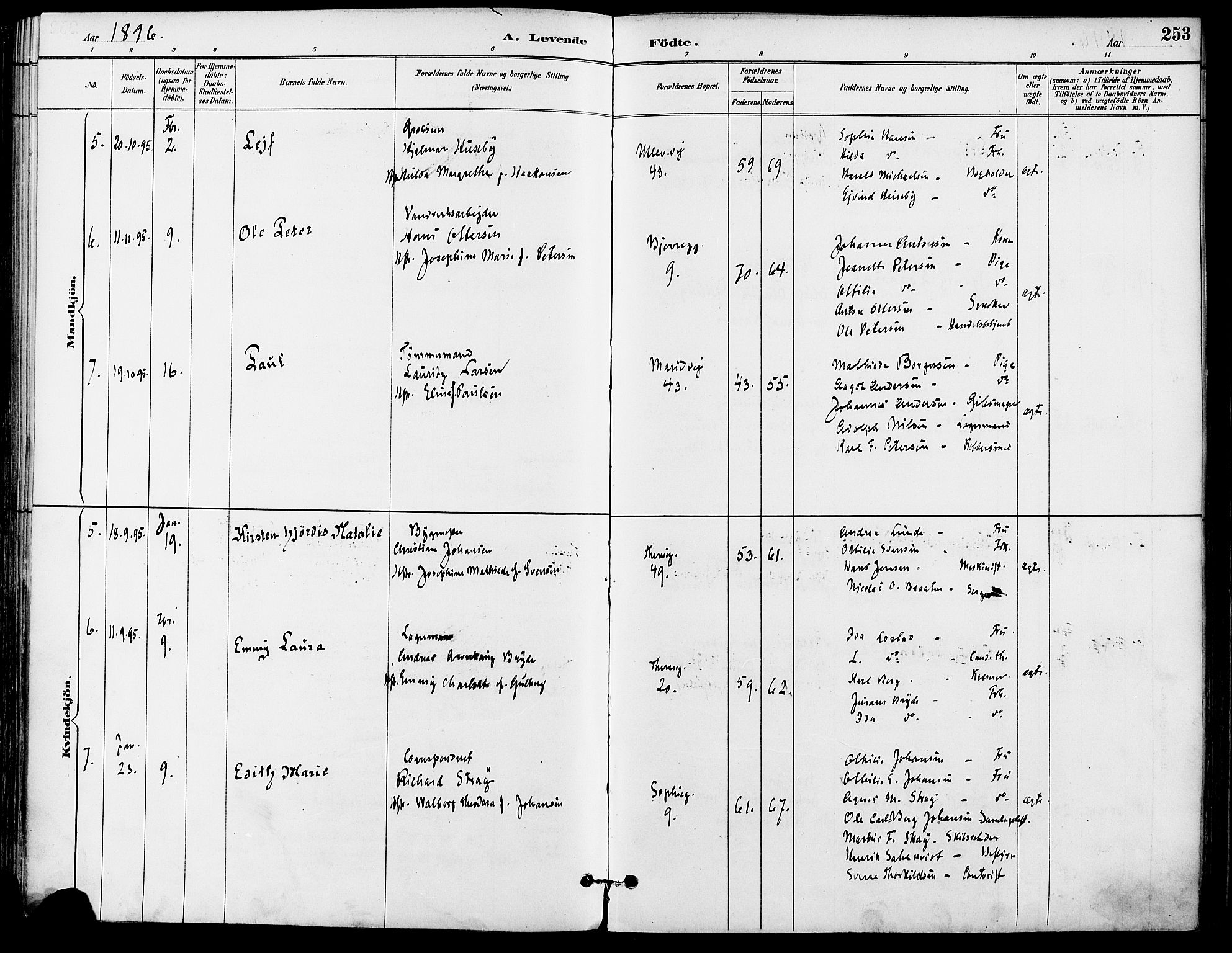 Gamle Aker prestekontor Kirkebøker, AV/SAO-A-10617a/F/L0008: Ministerialbok nr. 8, 1887-1896, s. 253