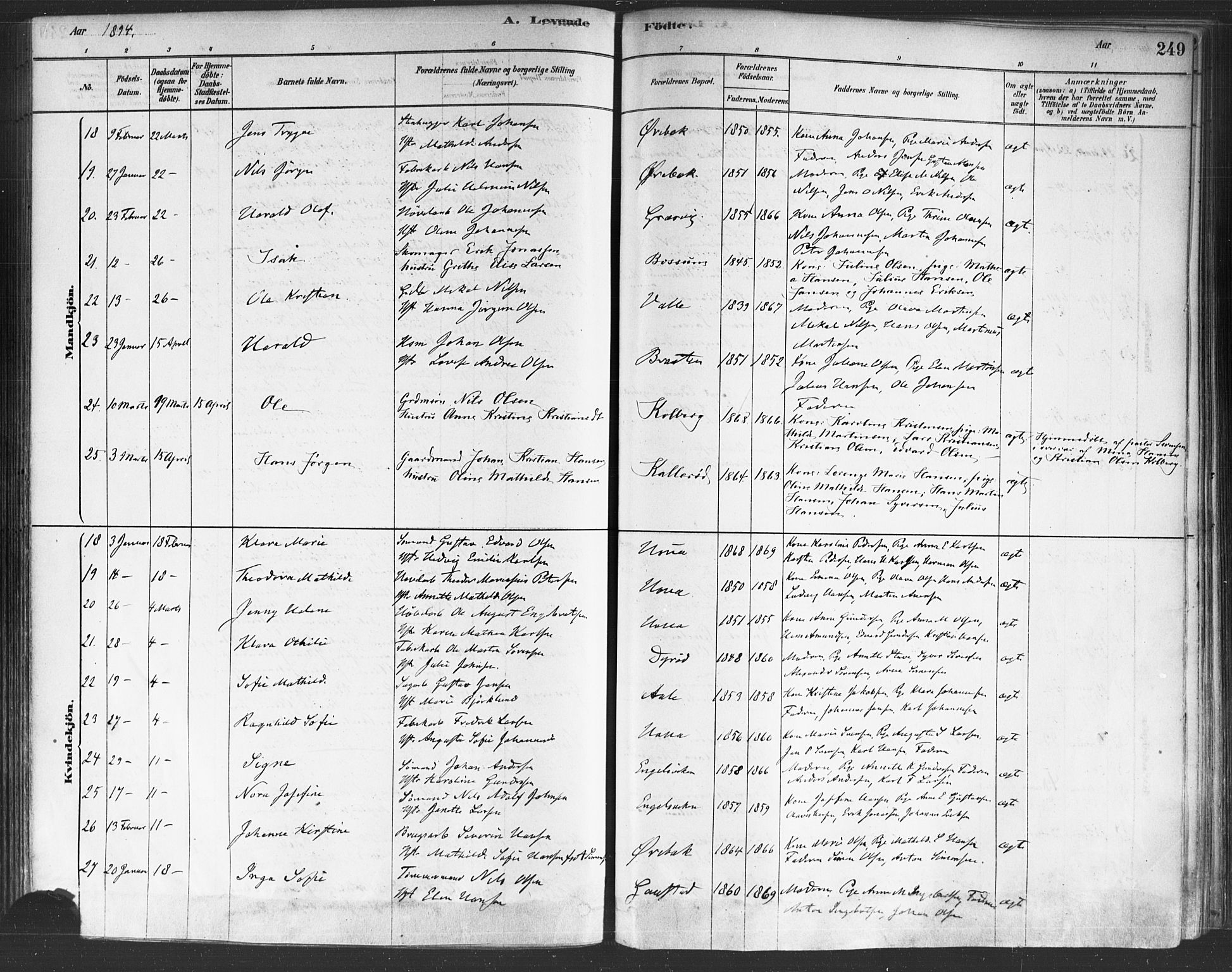 Onsøy prestekontor Kirkebøker, AV/SAO-A-10914/F/Fa/L0005: Ministerialbok nr. I 5, 1878-1898, s. 249