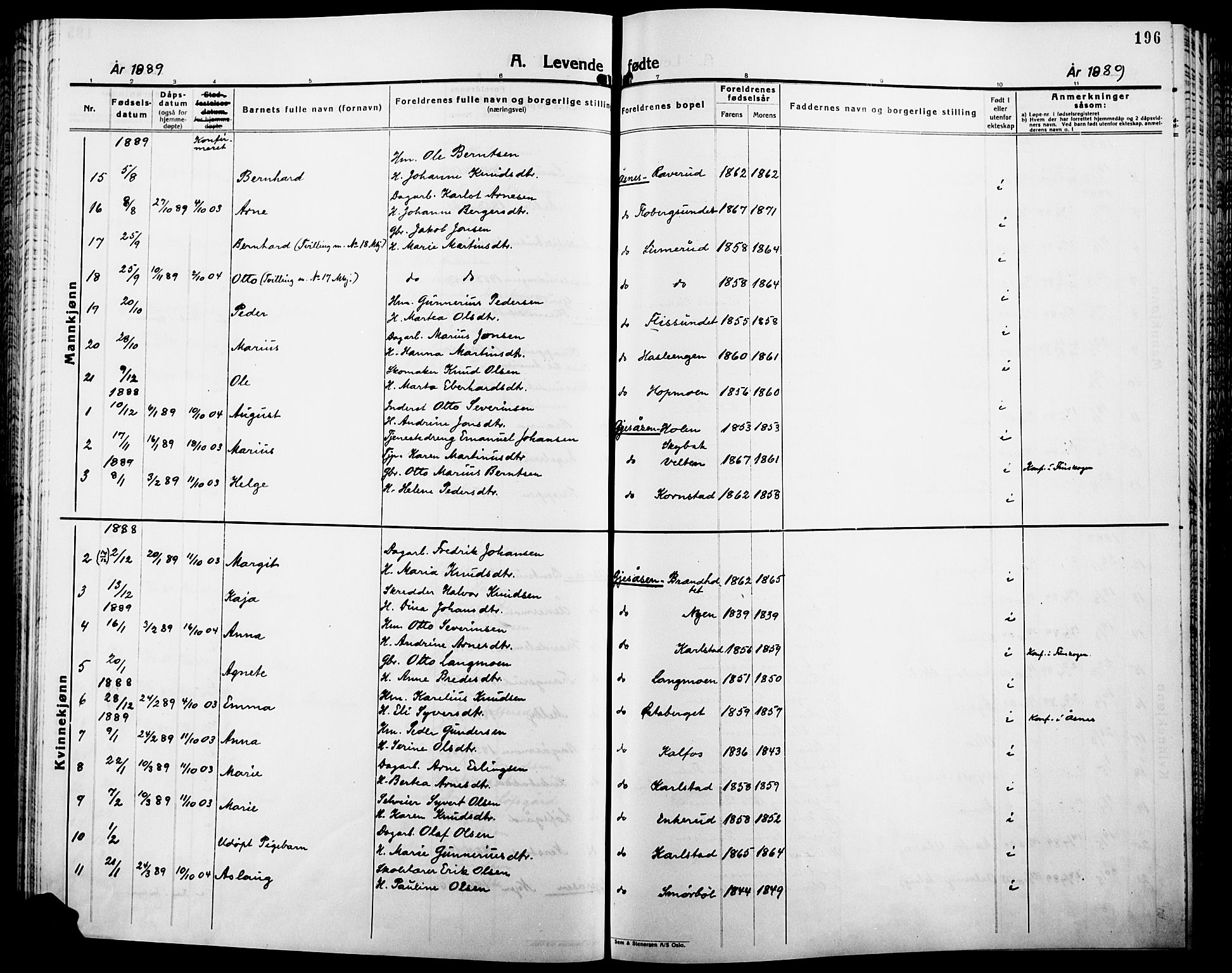 Åsnes prestekontor, SAH/PREST-042/H/Ha/Haa/L0000B: Ministerialbok, 1870-1889, s. 196