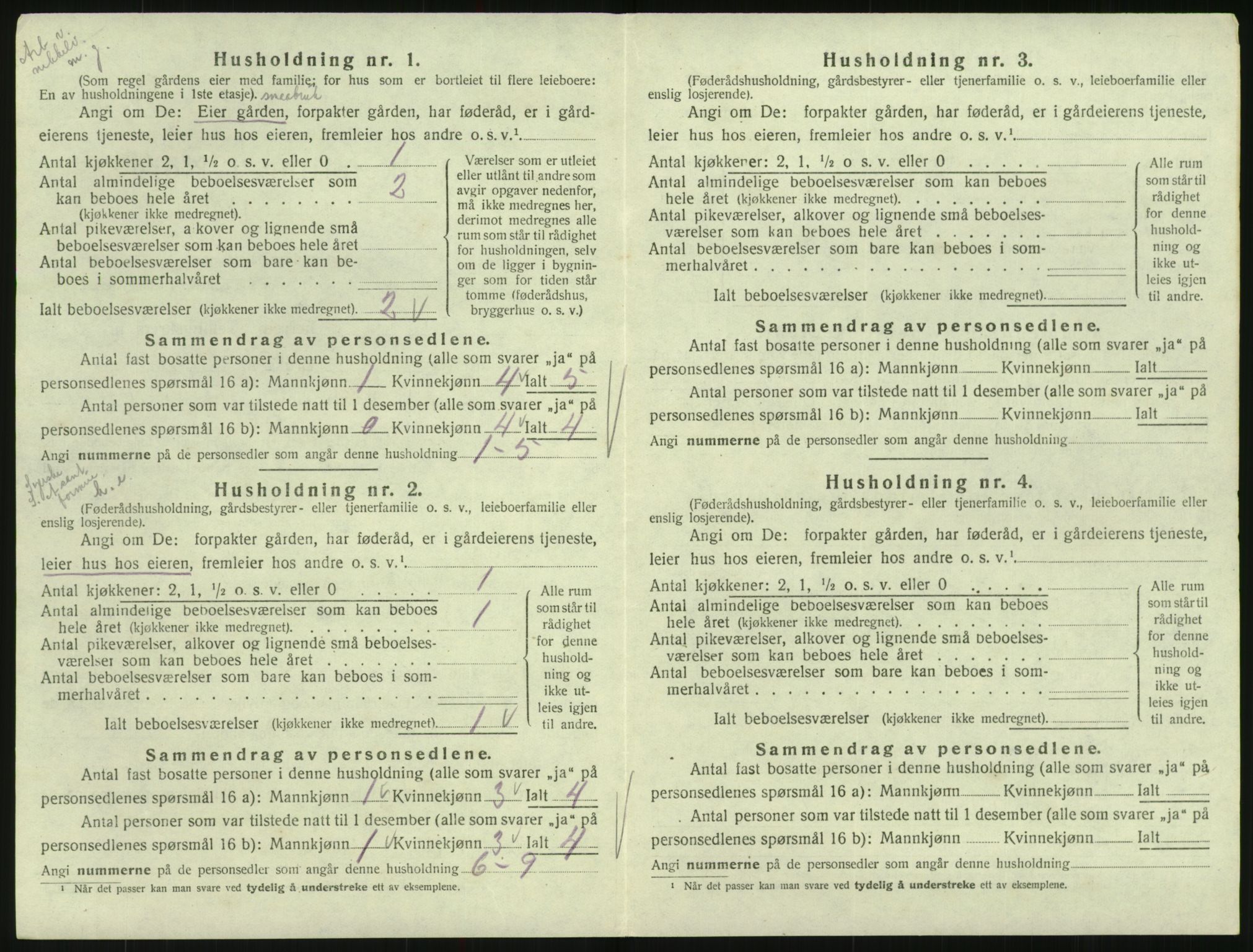SAK, Folketelling 1920 for 0936 Hornnes herred, 1920, s. 146