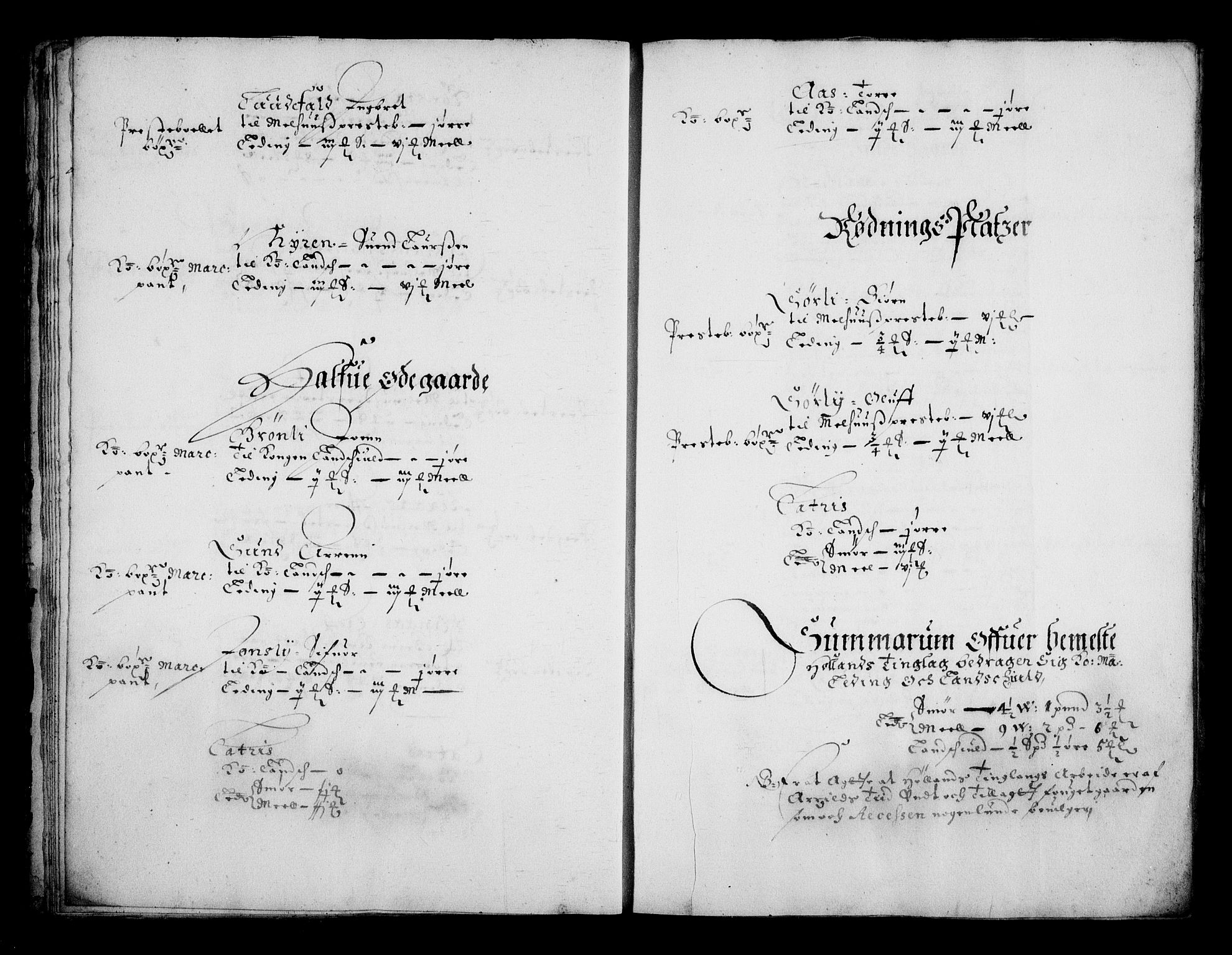 Rentekammeret inntil 1814, Realistisk ordnet avdeling, RA/EA-4070/N/Na/L0002/0004: [XI g]: Trondheims stifts jordebøker: / Gauldal fogderi, 1664