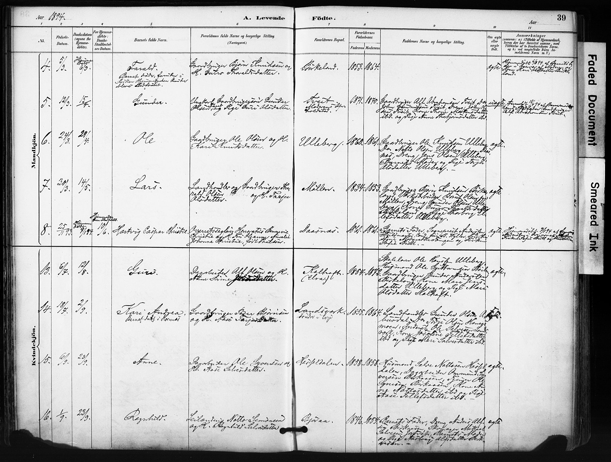 Evje sokneprestkontor, SAK/1111-0008/F/Fa/Fab/L0003: Ministerialbok nr. A 3, 1884-1909, s. 39