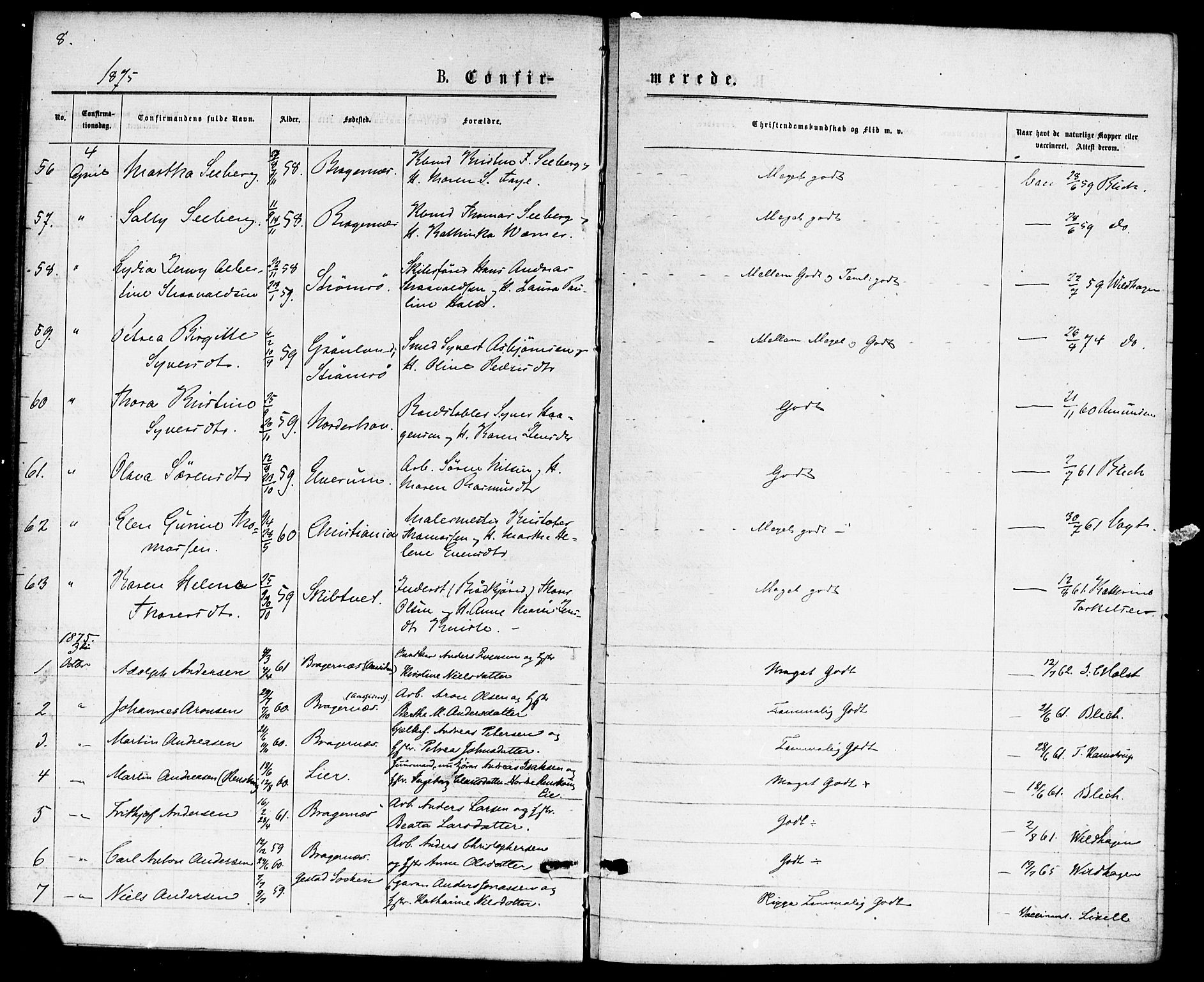 Bragernes kirkebøker, AV/SAKO-A-6/F/Fc/L0004: Ministerialbok nr. III 4, 1875-1877, s. 8