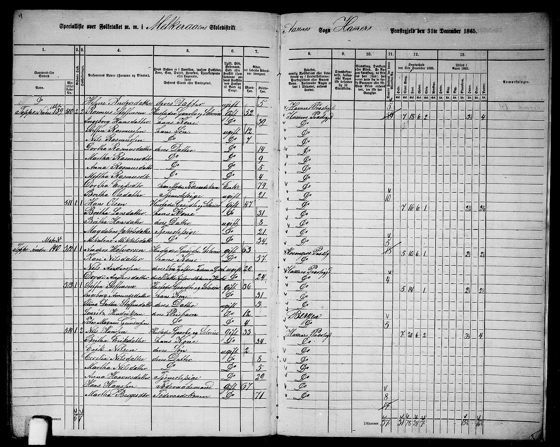 RA, Folketelling 1865 for 1254P Hamre prestegjeld, 1865, s. 218