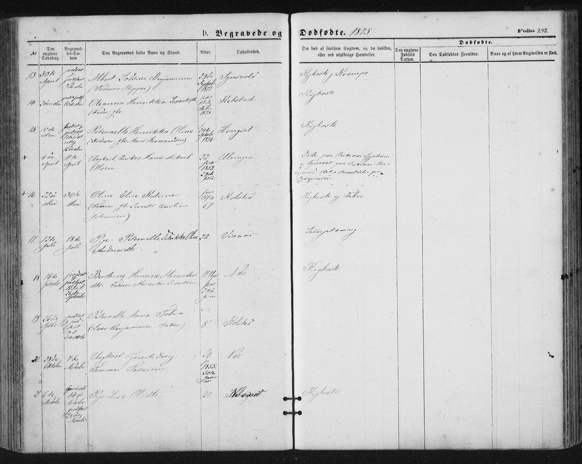 Ministerialprotokoller, klokkerbøker og fødselsregistre - Nordland, SAT/A-1459/816/L0241: Ministerialbok nr. 816A07, 1870-1885, s. 243
