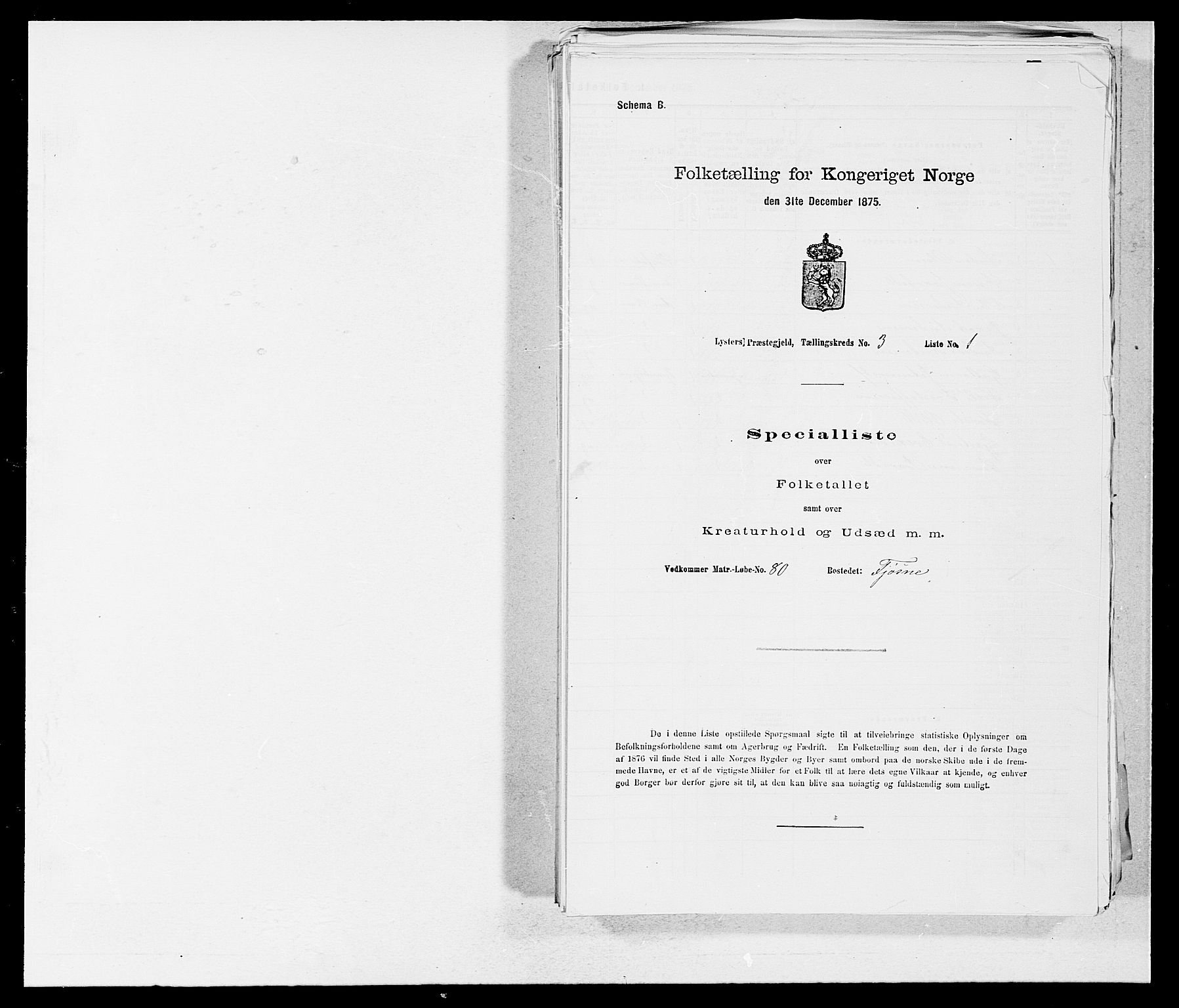 SAB, Folketelling 1875 for 1426P Luster prestegjeld, 1875, s. 439