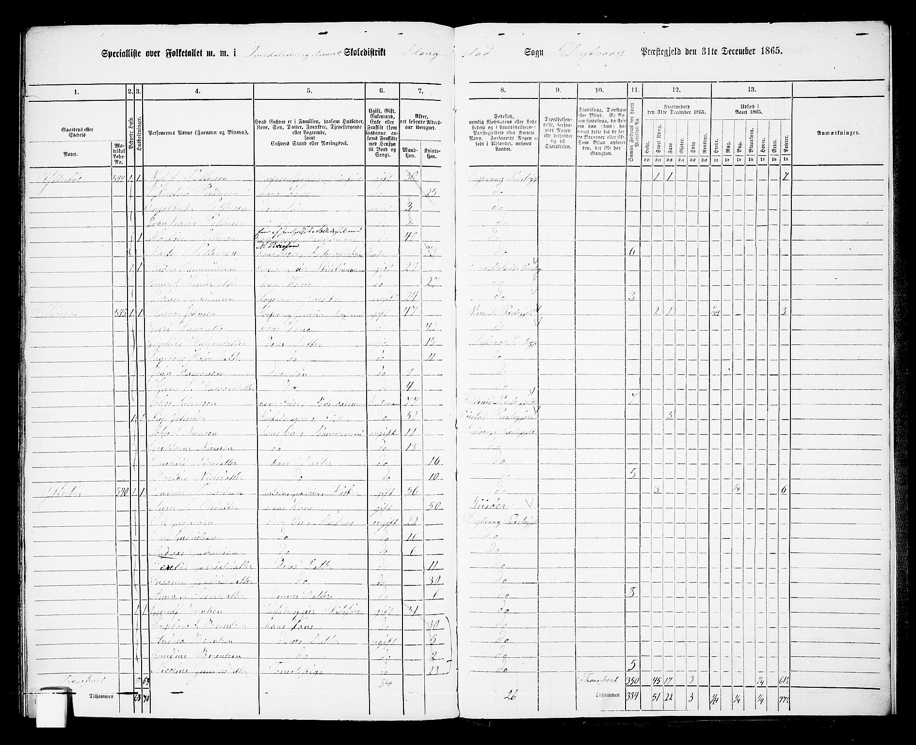 RA, Folketelling 1865 for 0915P Dypvåg prestegjeld, 1865, s. 171