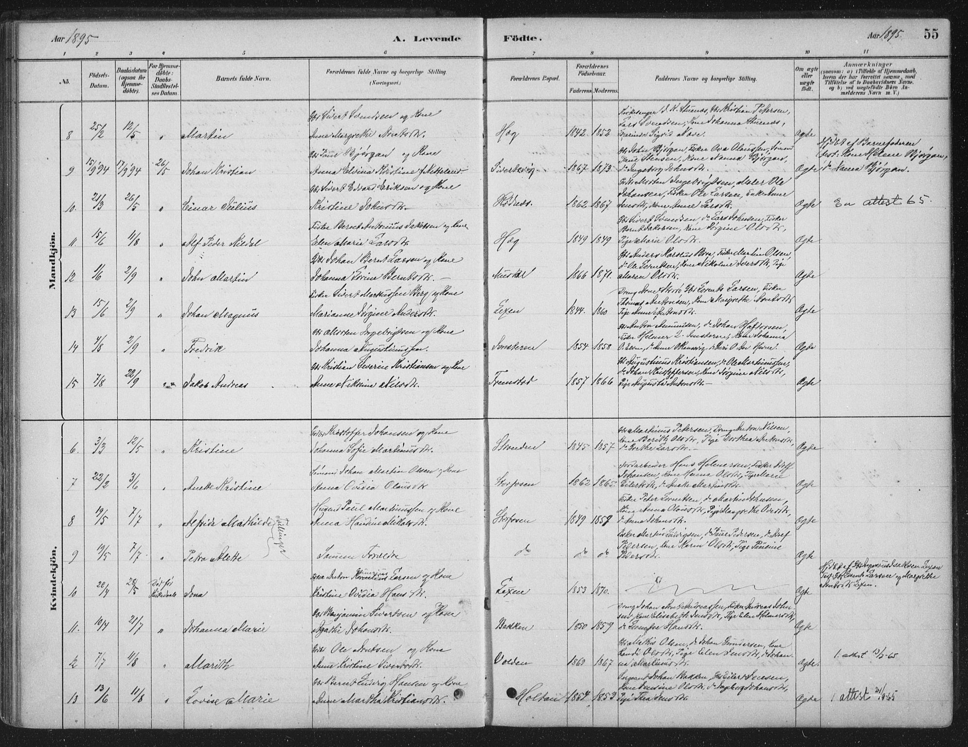Ministerialprotokoller, klokkerbøker og fødselsregistre - Sør-Trøndelag, SAT/A-1456/662/L0755: Ministerialbok nr. 662A01, 1879-1905, s. 55