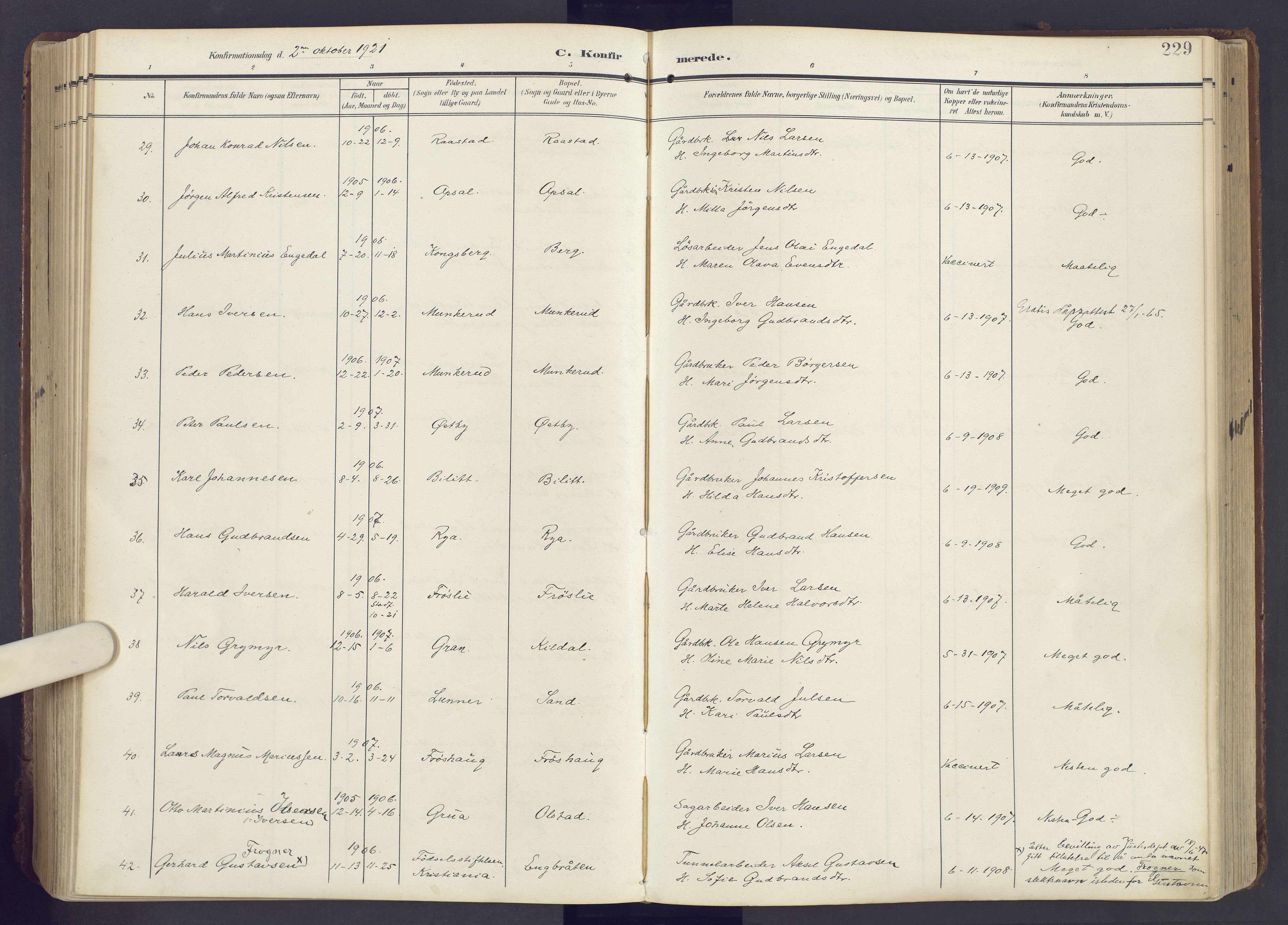 Lunner prestekontor, SAH/PREST-118/H/Ha/Haa/L0001: Ministerialbok nr. 1, 1907-1922, s. 229