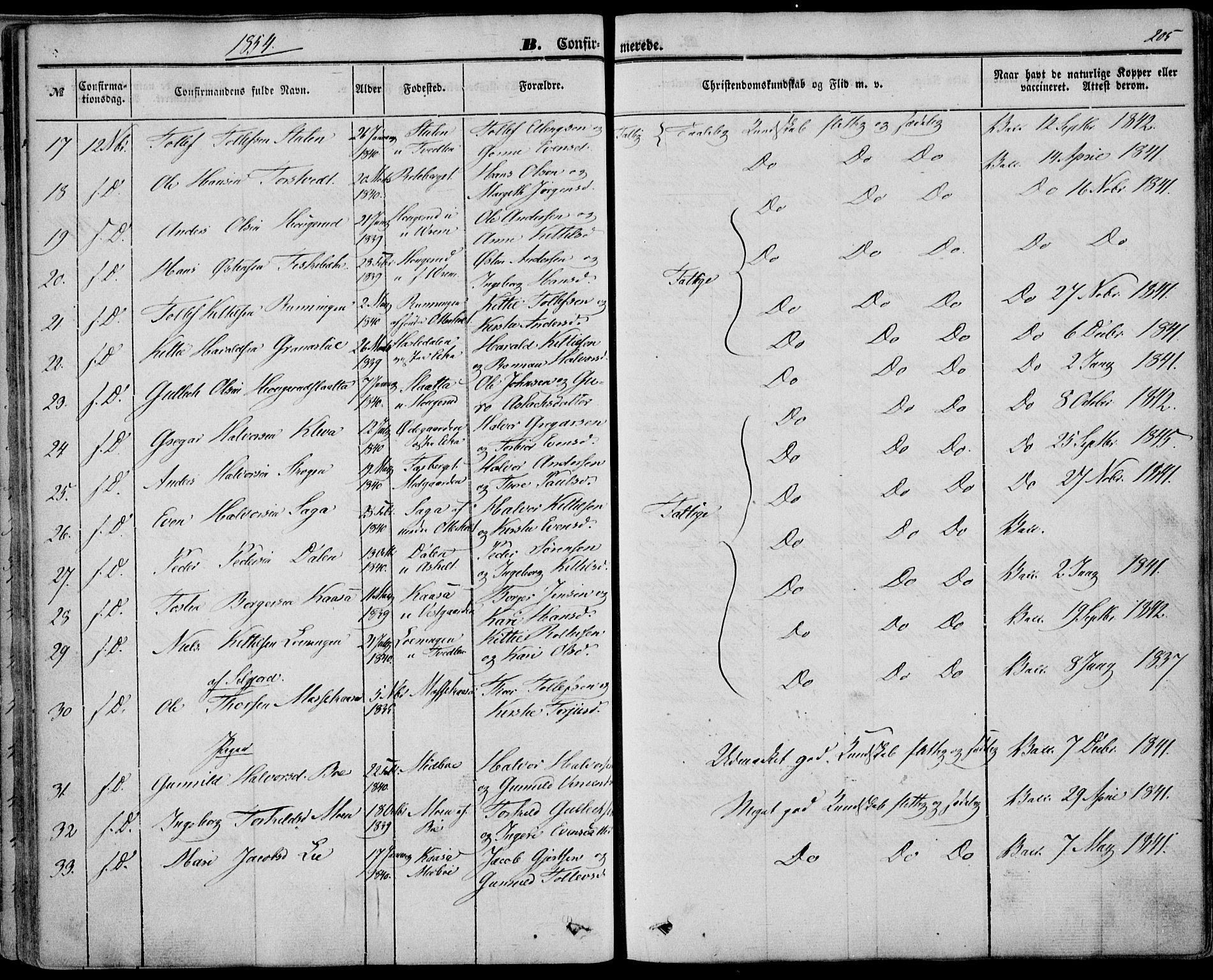 Bø kirkebøker, AV/SAKO-A-257/F/Fa/L0008: Ministerialbok nr. 8, 1849-1861, s. 205
