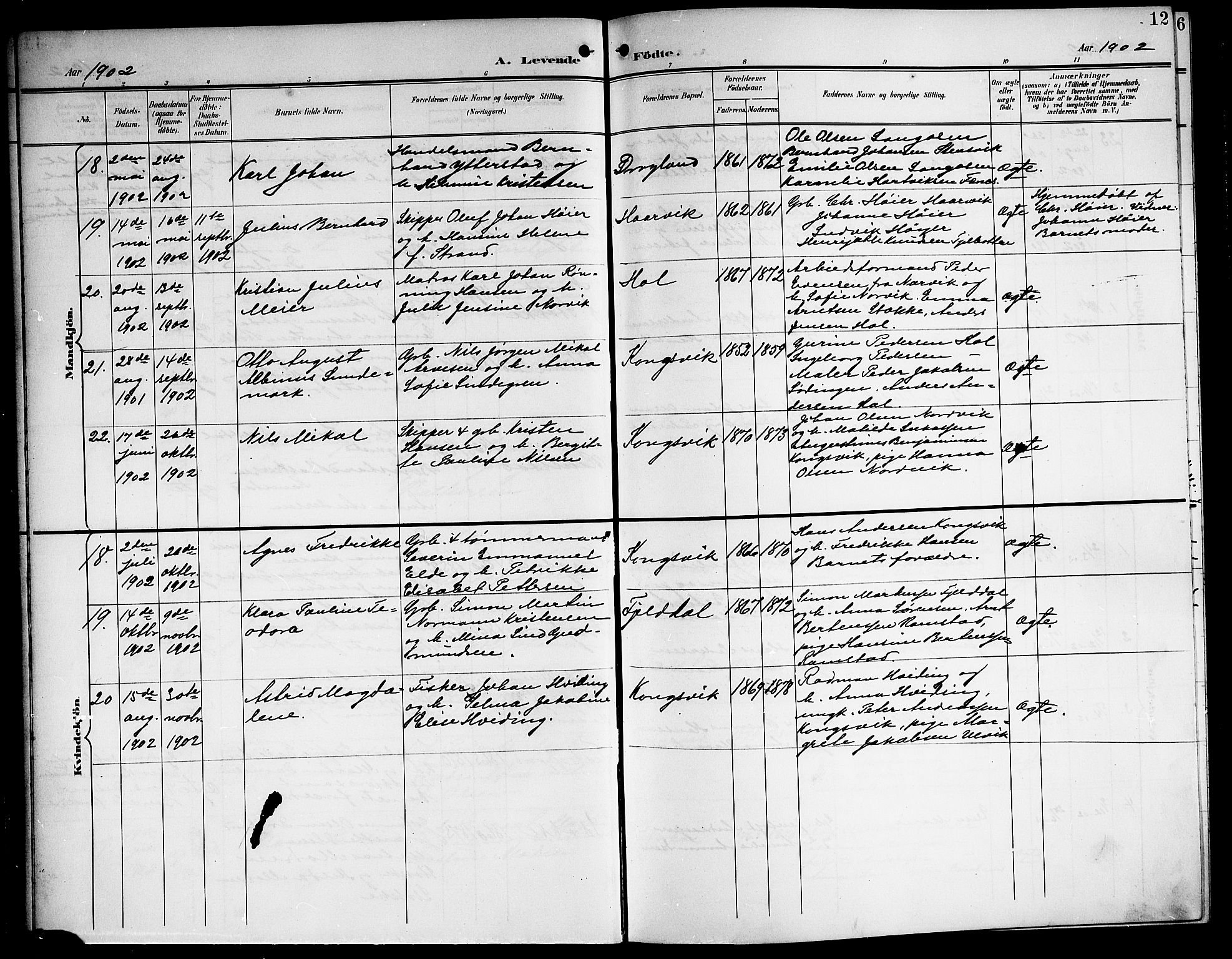 Ministerialprotokoller, klokkerbøker og fødselsregistre - Nordland, AV/SAT-A-1459/865/L0932: Klokkerbok nr. 865C04, 1901-1917, s. 12