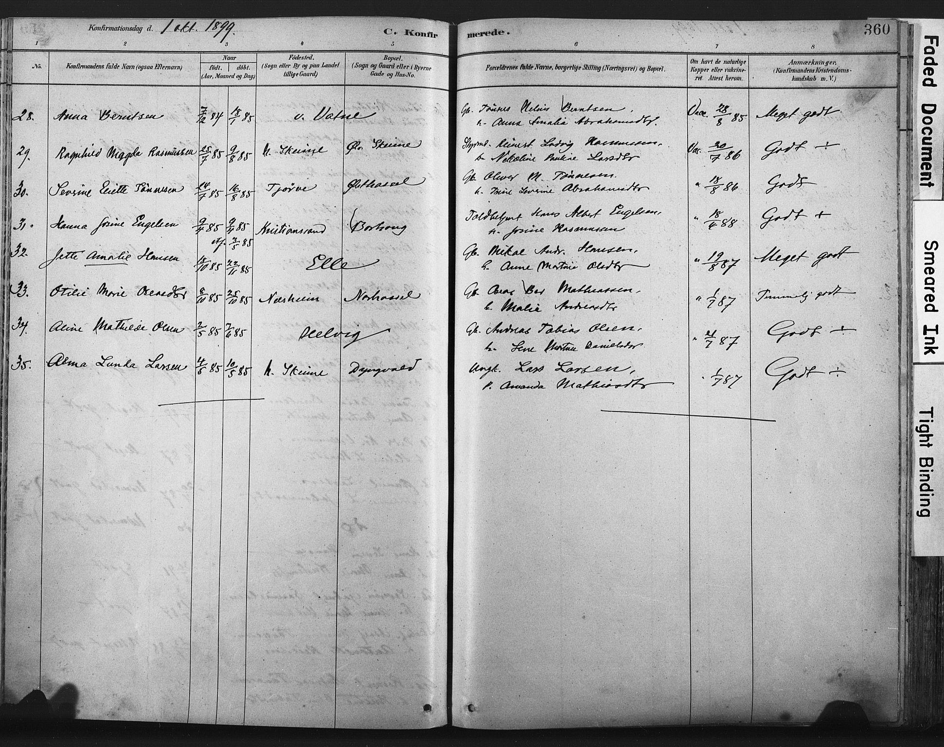 Lista sokneprestkontor, AV/SAK-1111-0027/F/Fa/L0012: Ministerialbok nr. A 12, 1879-1903, s. 360