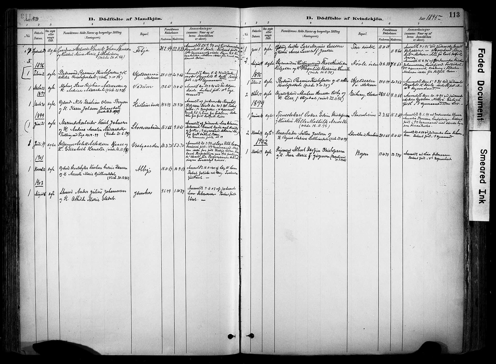Stokke kirkebøker, SAKO/A-320/F/Fa/L0010: Ministerialbok nr. I 10, 1884-1903, s. 113