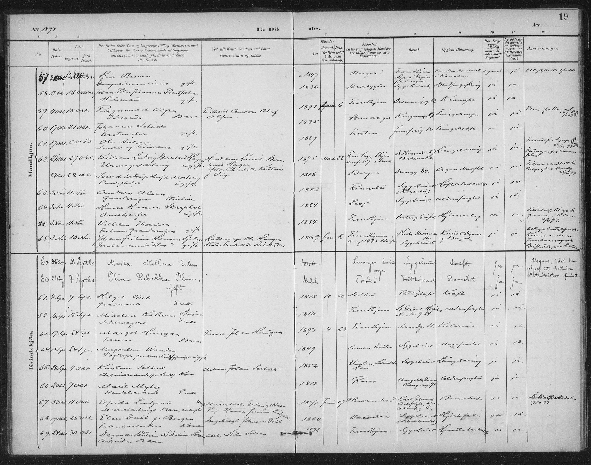 Ministerialprotokoller, klokkerbøker og fødselsregistre - Sør-Trøndelag, SAT/A-1456/602/L0123: Ministerialbok nr. 602A21, 1895-1910, s. 19