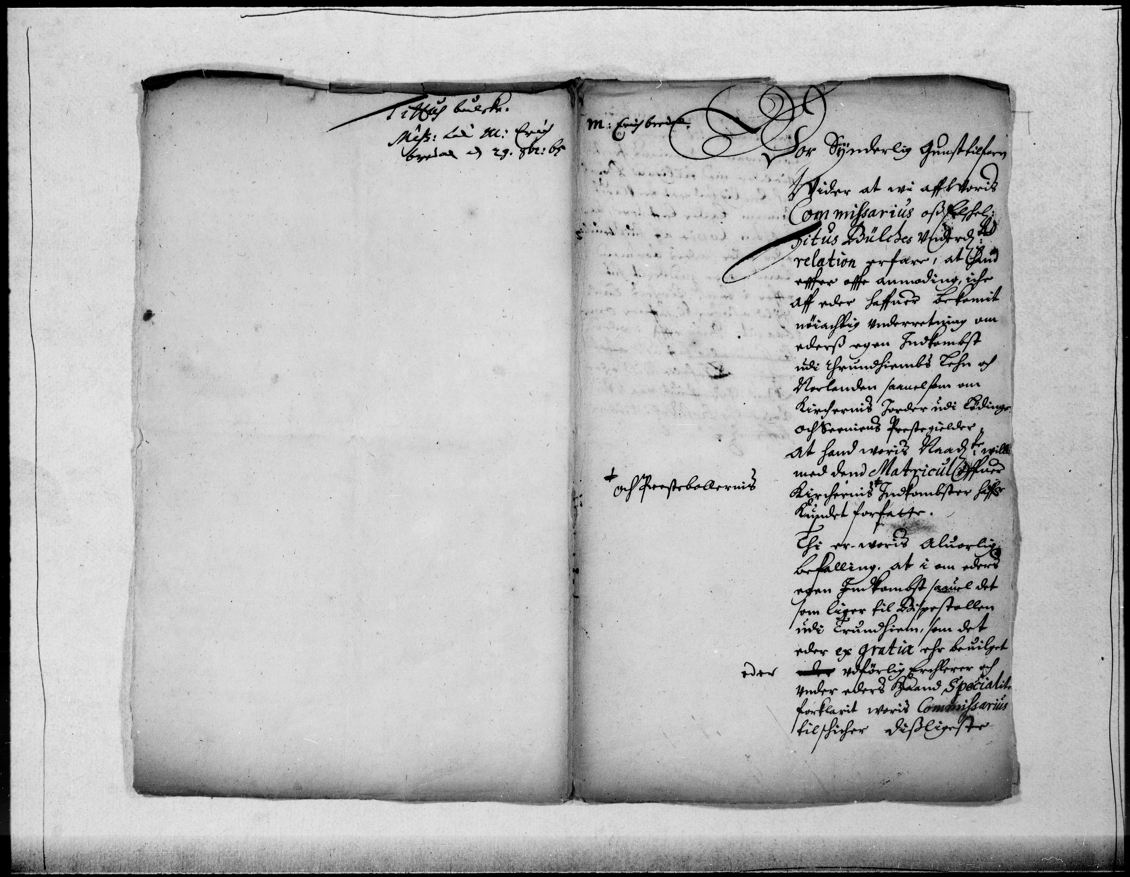 Danske Kanselli 1572-1799, AV/RA-EA-3023/F/Fc/Fcc/Fcca/L0025: Norske innlegg 1572-1799, 1665-1666, s. 190