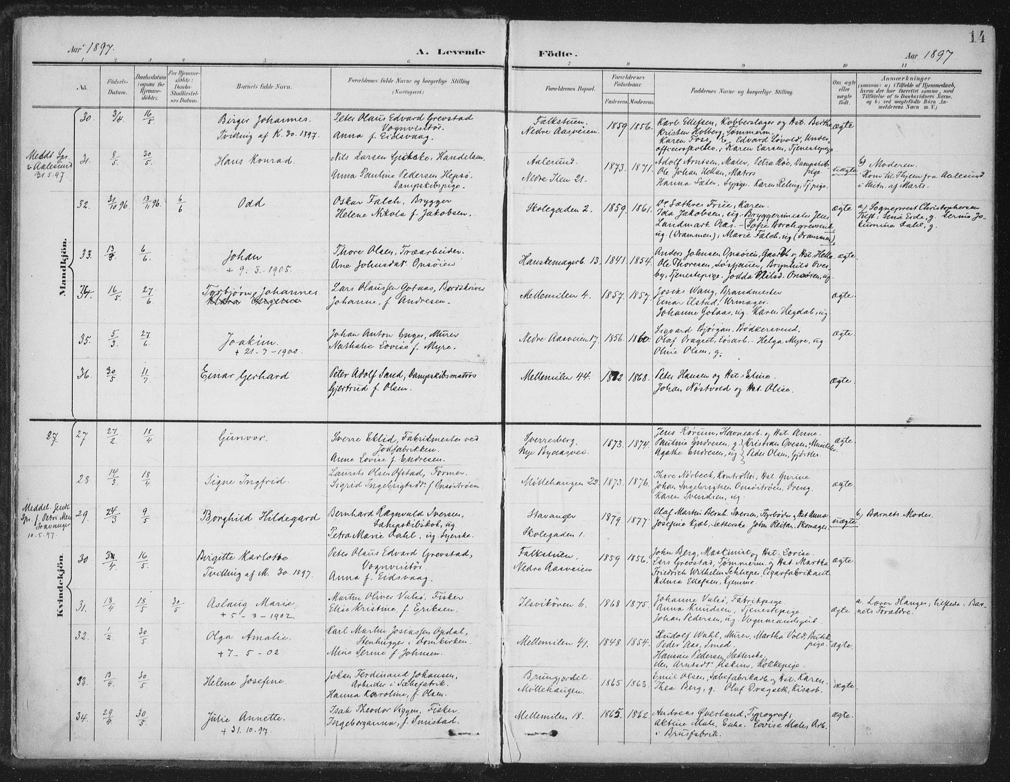 Ministerialprotokoller, klokkerbøker og fødselsregistre - Sør-Trøndelag, AV/SAT-A-1456/603/L0167: Ministerialbok nr. 603A06, 1896-1932, s. 14