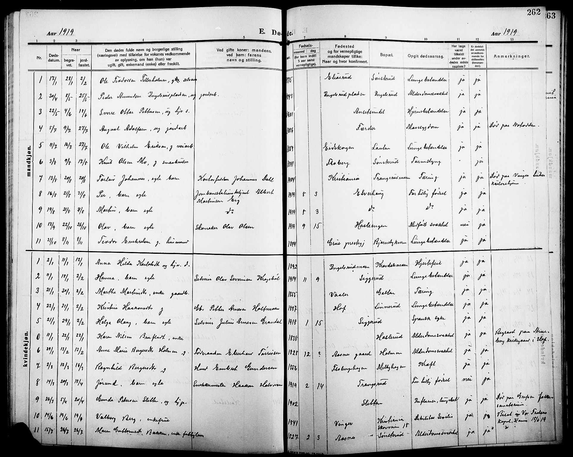 Åsnes prestekontor, AV/SAH-PREST-042/H/Ha/Hab/L0007: Klokkerbok nr. 7, 1909-1926, s. 262