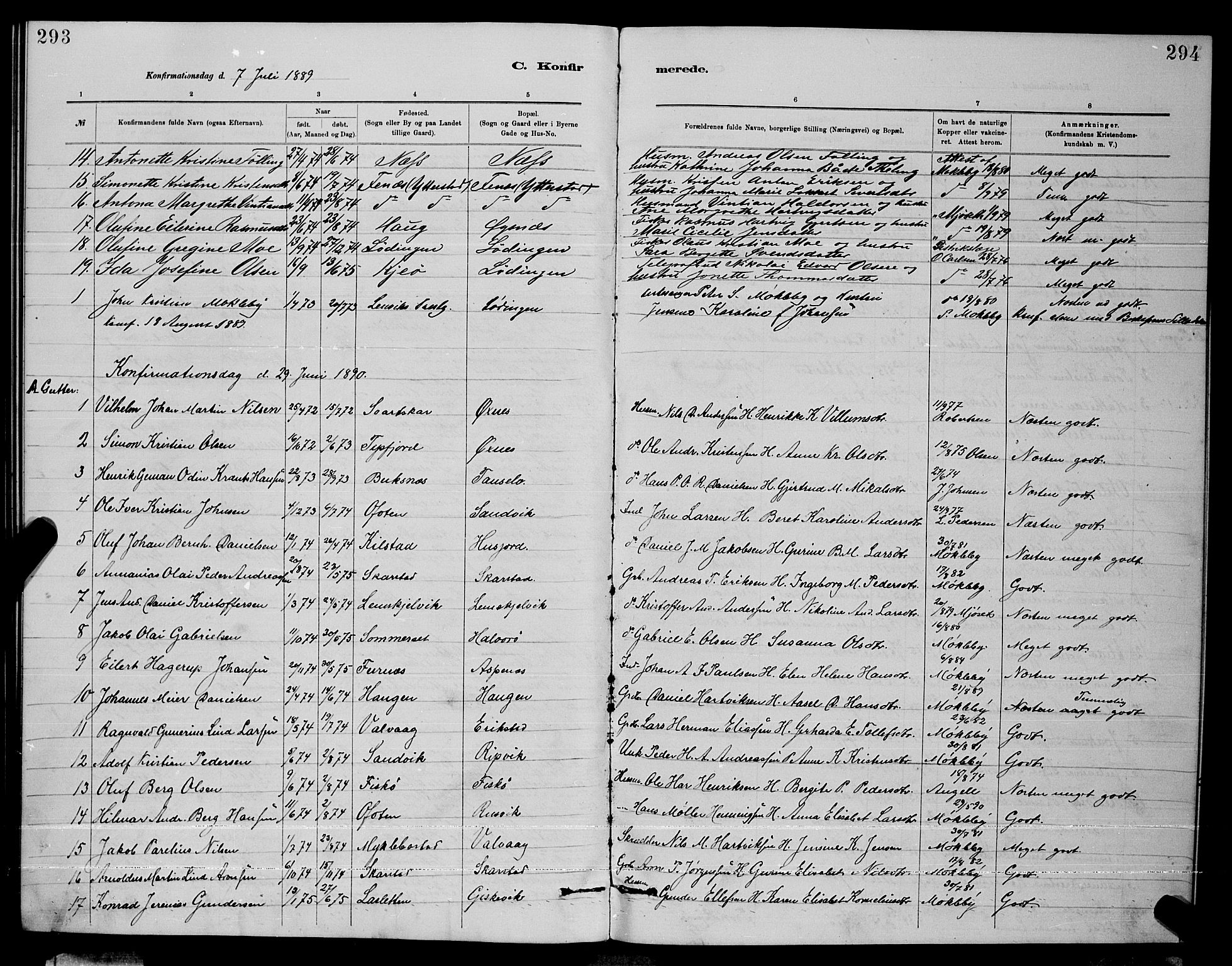 Ministerialprotokoller, klokkerbøker og fødselsregistre - Nordland, AV/SAT-A-1459/872/L1047: Klokkerbok nr. 872C03, 1880-1897, s. 293-294