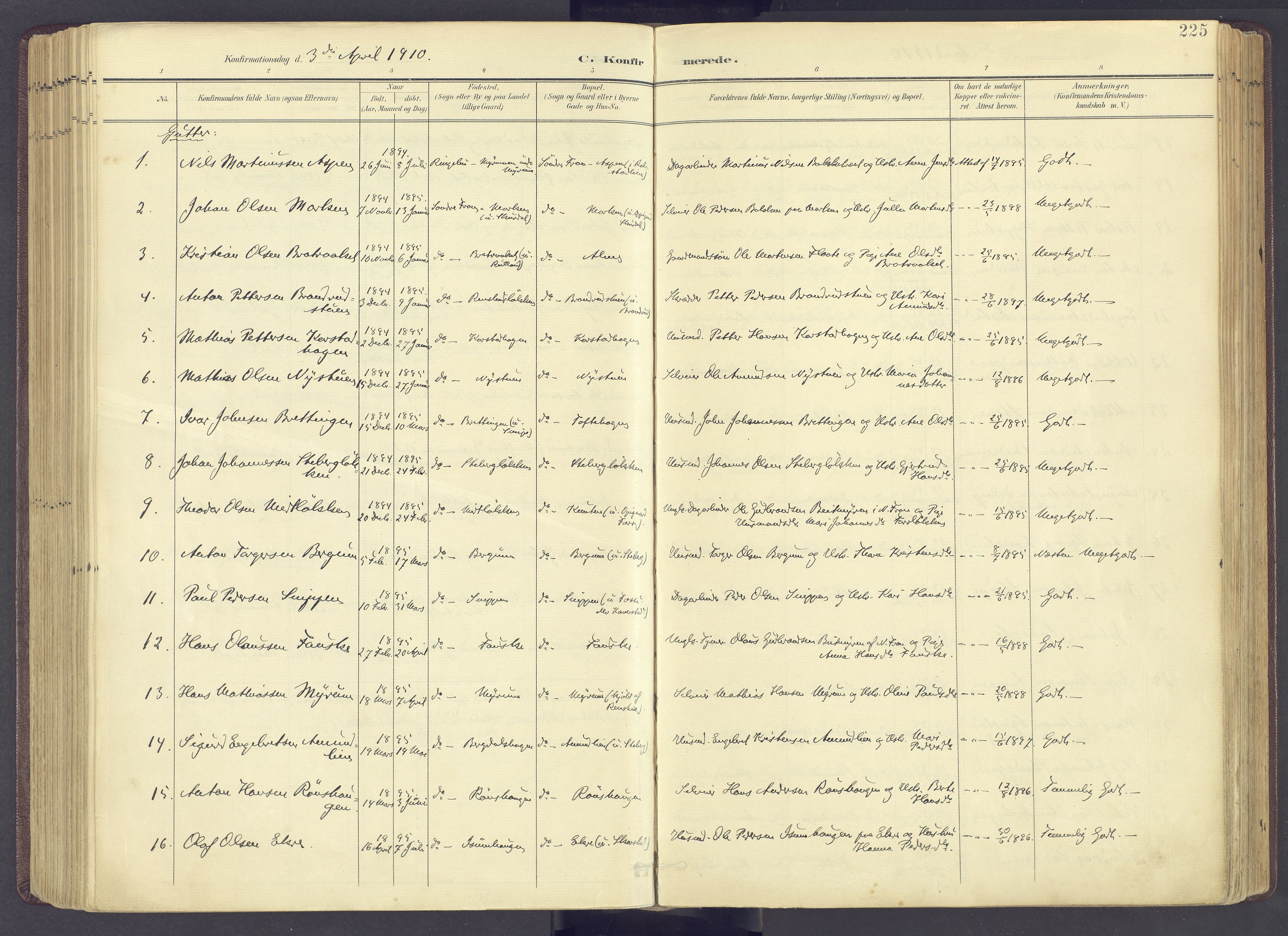 Sør-Fron prestekontor, AV/SAH-PREST-010/H/Ha/Haa/L0004: Ministerialbok nr. 4, 1898-1919, s. 225