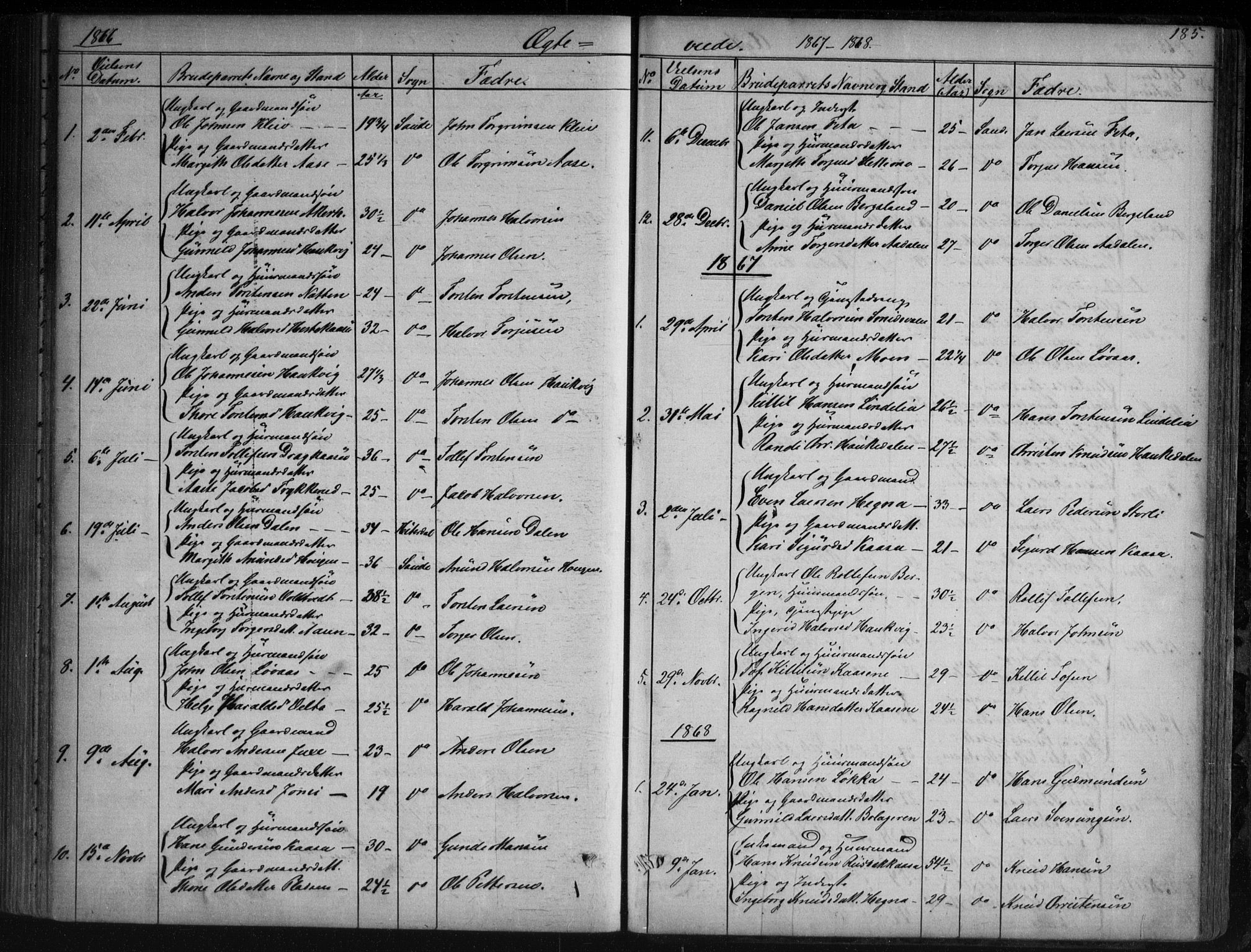 Sauherad kirkebøker, AV/SAKO-A-298/G/Ga/L0003: Klokkerbok nr. I 3, 1866-1905, s. 185
