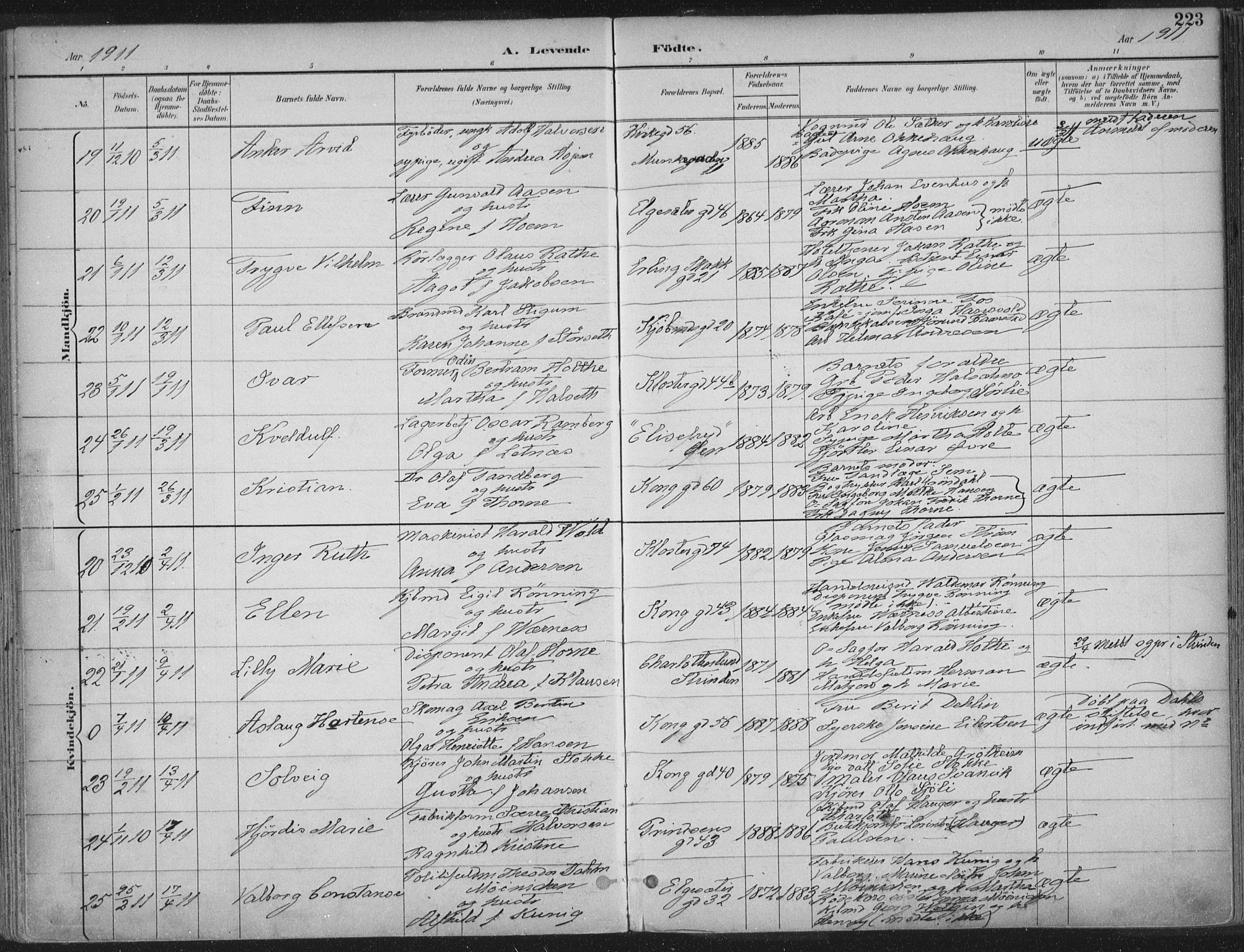Ministerialprotokoller, klokkerbøker og fødselsregistre - Sør-Trøndelag, SAT/A-1456/601/L0062: Ministerialbok nr. 601A30, 1891-1911, s. 223