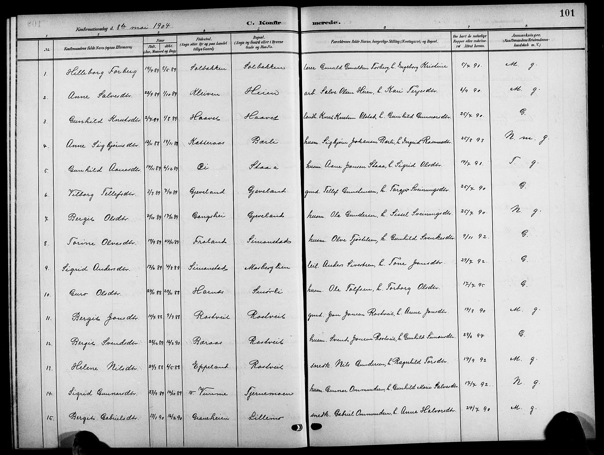 Åmli sokneprestkontor, AV/SAK-1111-0050/F/Fb/Fbc/L0005: Klokkerbok nr. B 5, 1903-1916, s. 101