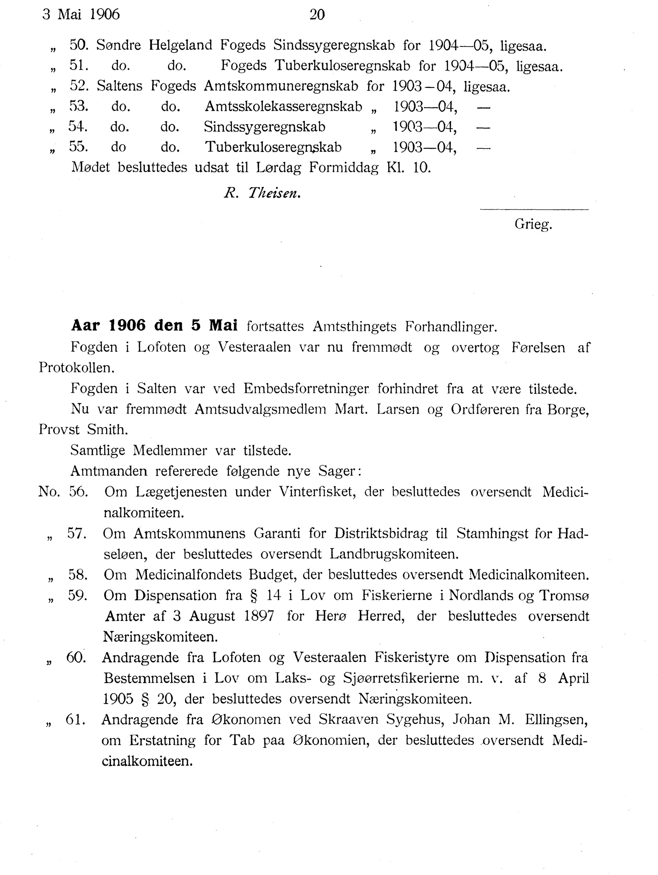 Nordland Fylkeskommune. Fylkestinget, AIN/NFK-17/176/A/Ac/L0029: Fylkestingsforhandlinger 1906, 1906, s. 20