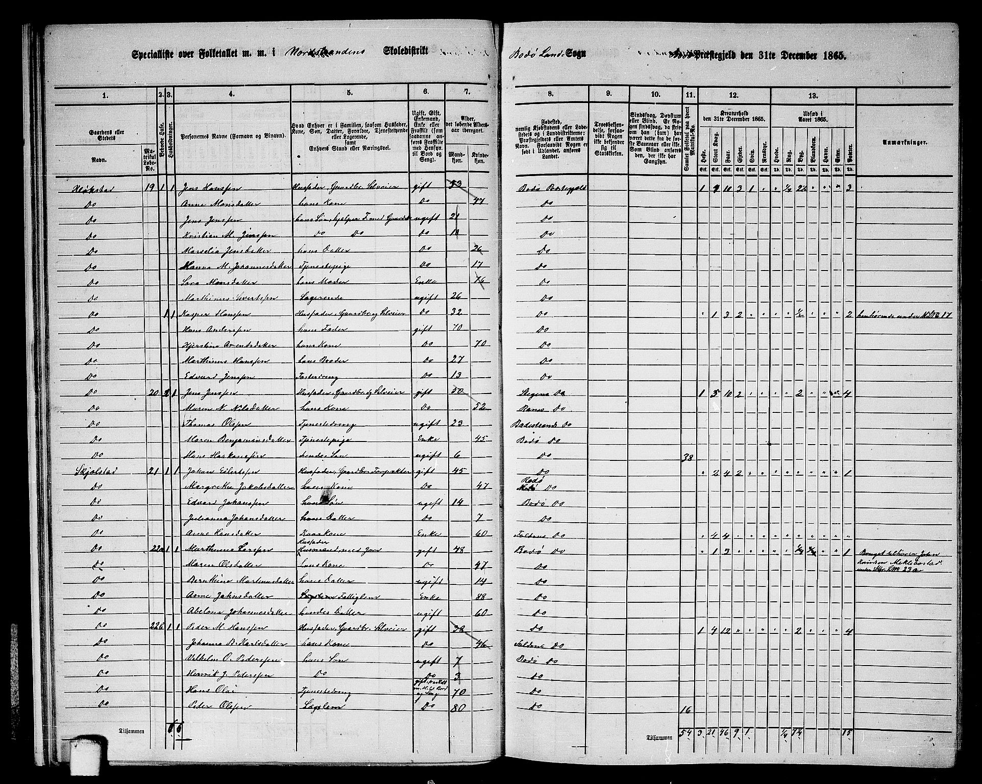 RA, Folketelling 1865 for 1843L Bodø prestegjeld, Bodø landsokn, 1865, s. 16