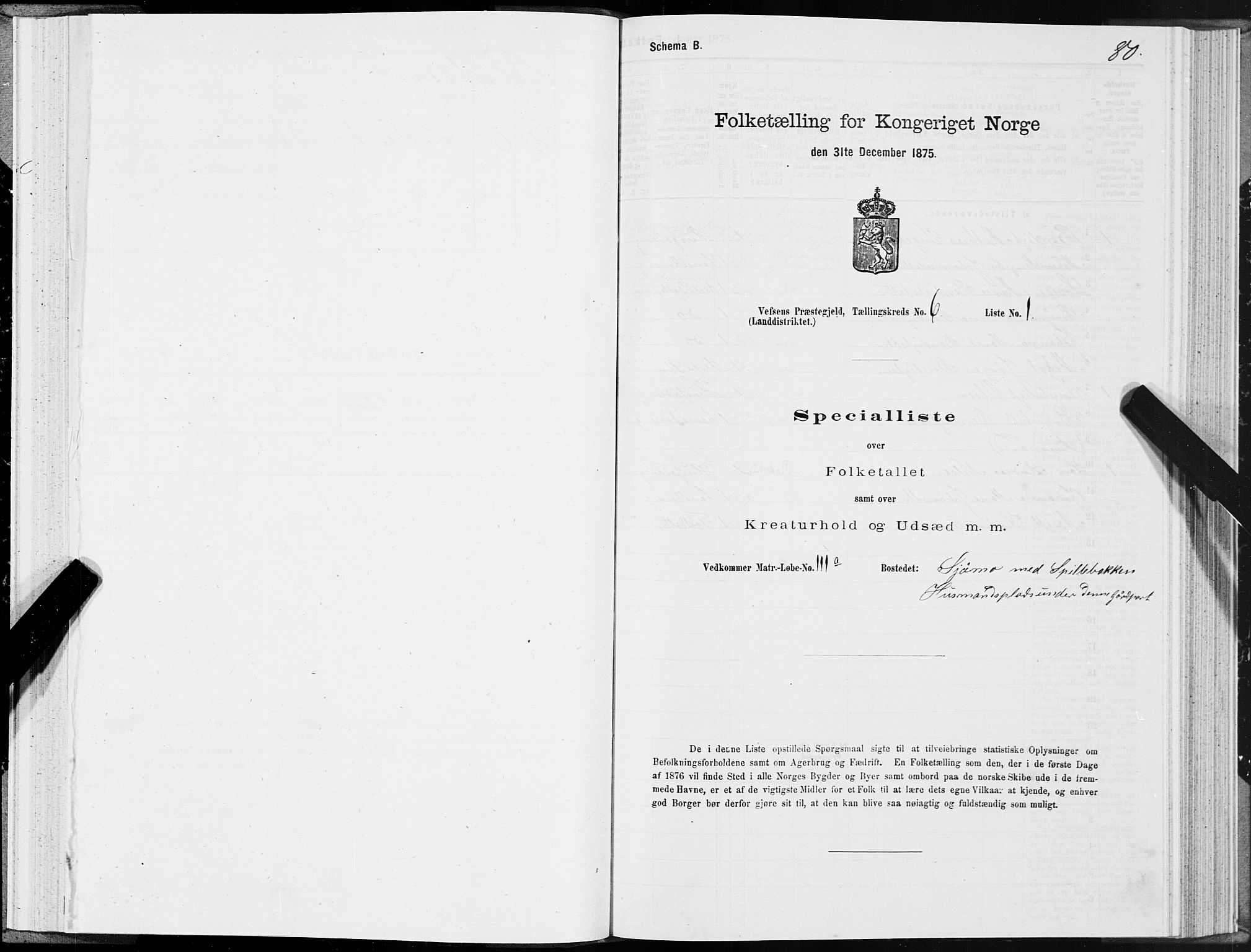 SAT, Folketelling 1875 for 1824L Vefsn prestegjeld, Vefsn sokn, 1875, s. 2080