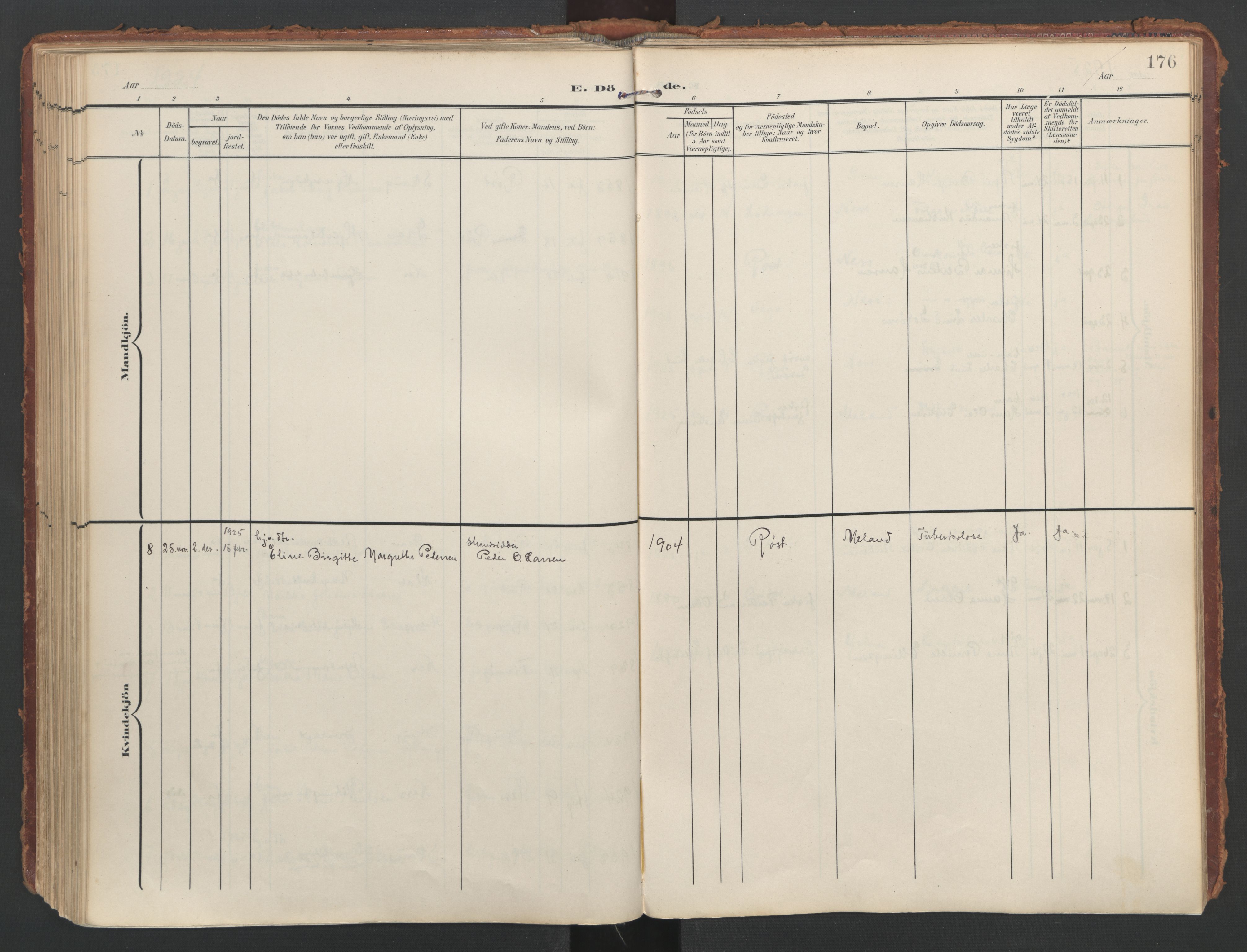 Ministerialprotokoller, klokkerbøker og fødselsregistre - Nordland, SAT/A-1459/808/L0129: Ministerialbok nr. 808A02, 1903-1931, s. 176