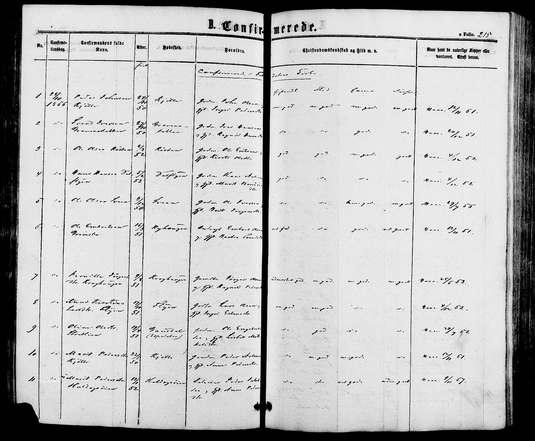 Alvdal prestekontor, AV/SAH-PREST-060/H/Ha/Haa/L0001: Ministerialbok nr. 1, 1863-1882, s. 215