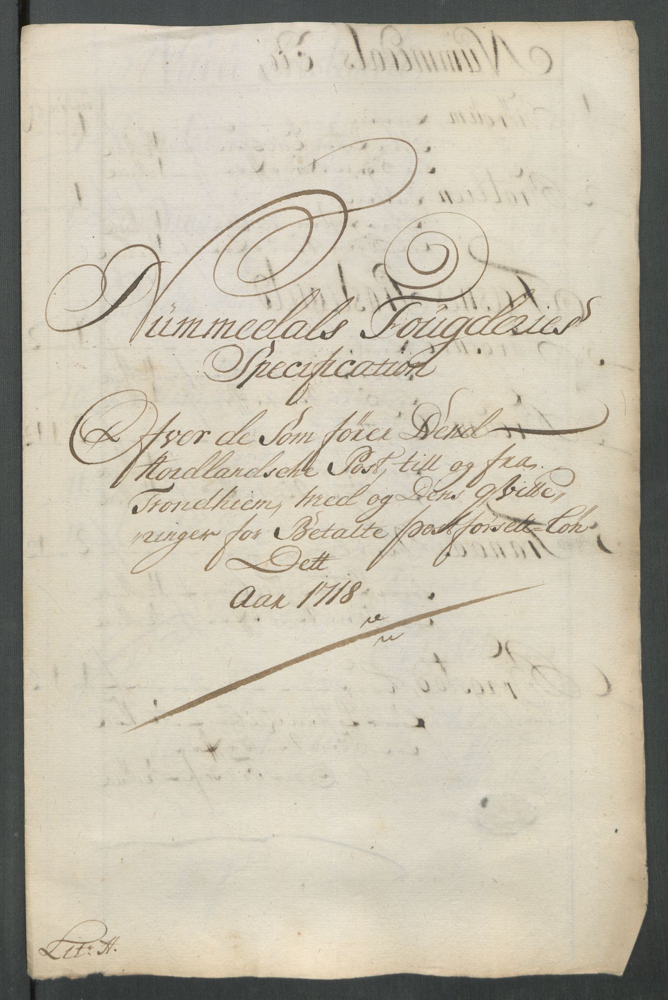 Rentekammeret inntil 1814, Reviderte regnskaper, Fogderegnskap, RA/EA-4092/R64/L4439: Fogderegnskap Namdal, 1718, s. 209