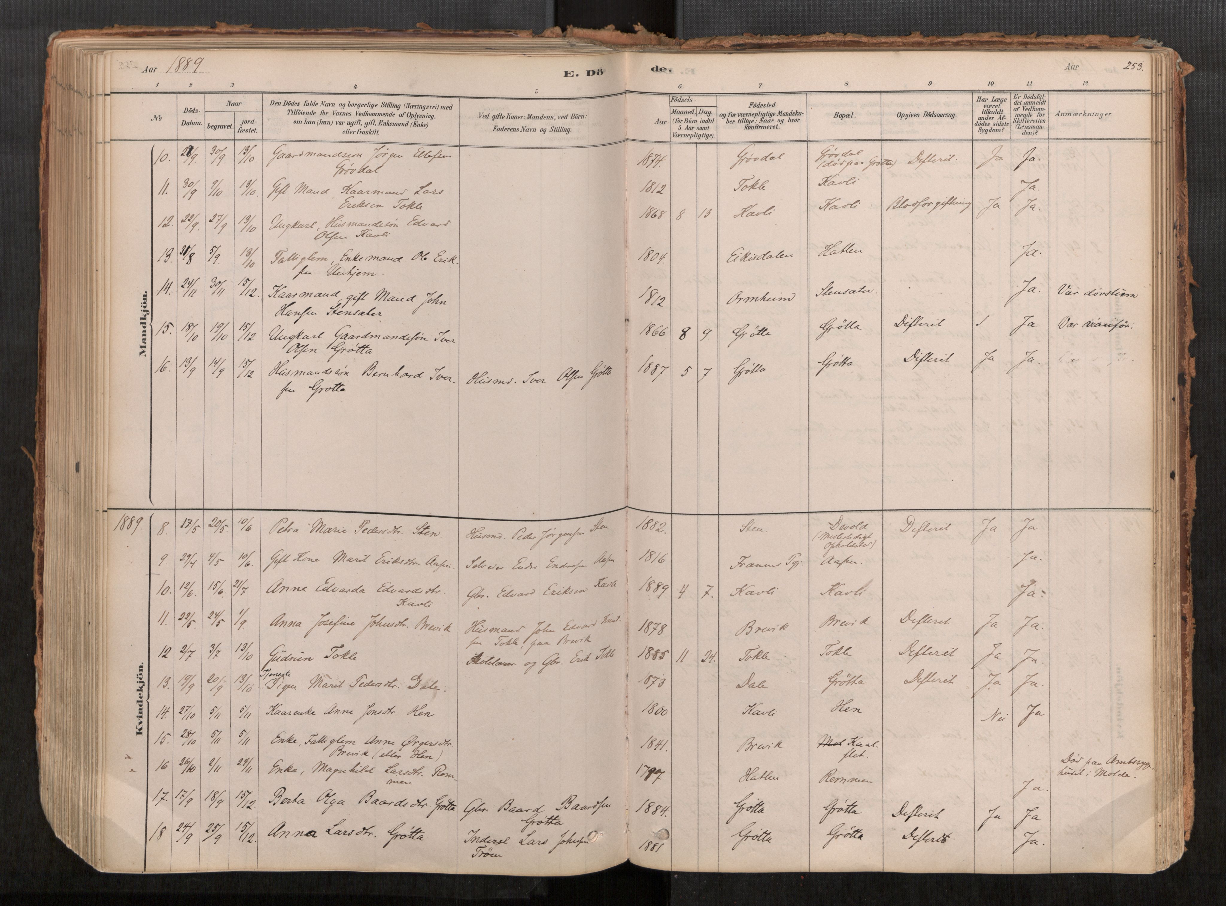 Ministerialprotokoller, klokkerbøker og fødselsregistre - Møre og Romsdal, SAT/A-1454/545/L0594: Ministerialbok nr. 545A03, 1878-1920, s. 253