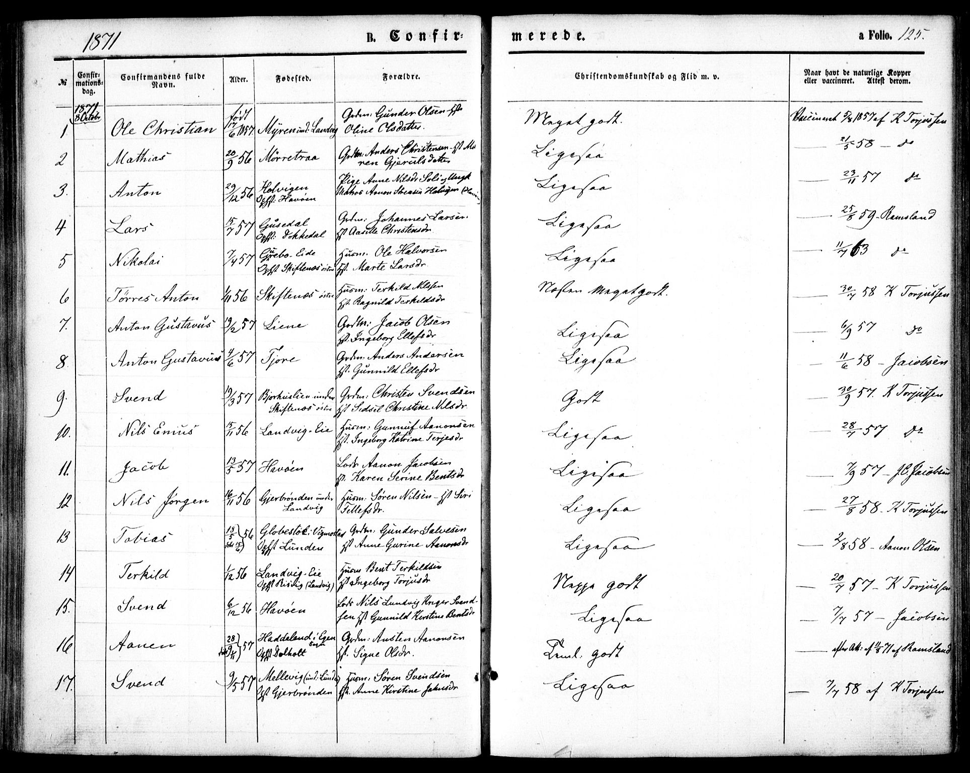 Hommedal sokneprestkontor, SAK/1111-0023/F/Fa/Fab/L0005: Ministerialbok nr. A 5, 1861-1877, s. 125