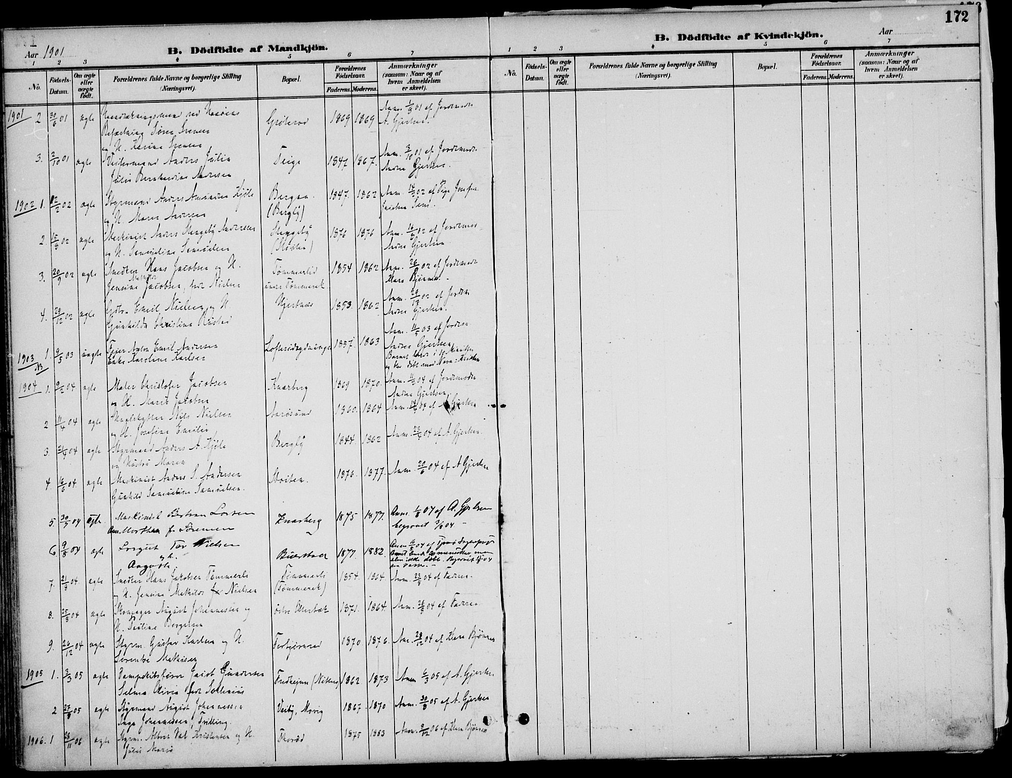 Nøtterøy kirkebøker, AV/SAKO-A-354/F/Fa/L0009: Ministerialbok nr. I 9, 1894-1907, s. 172