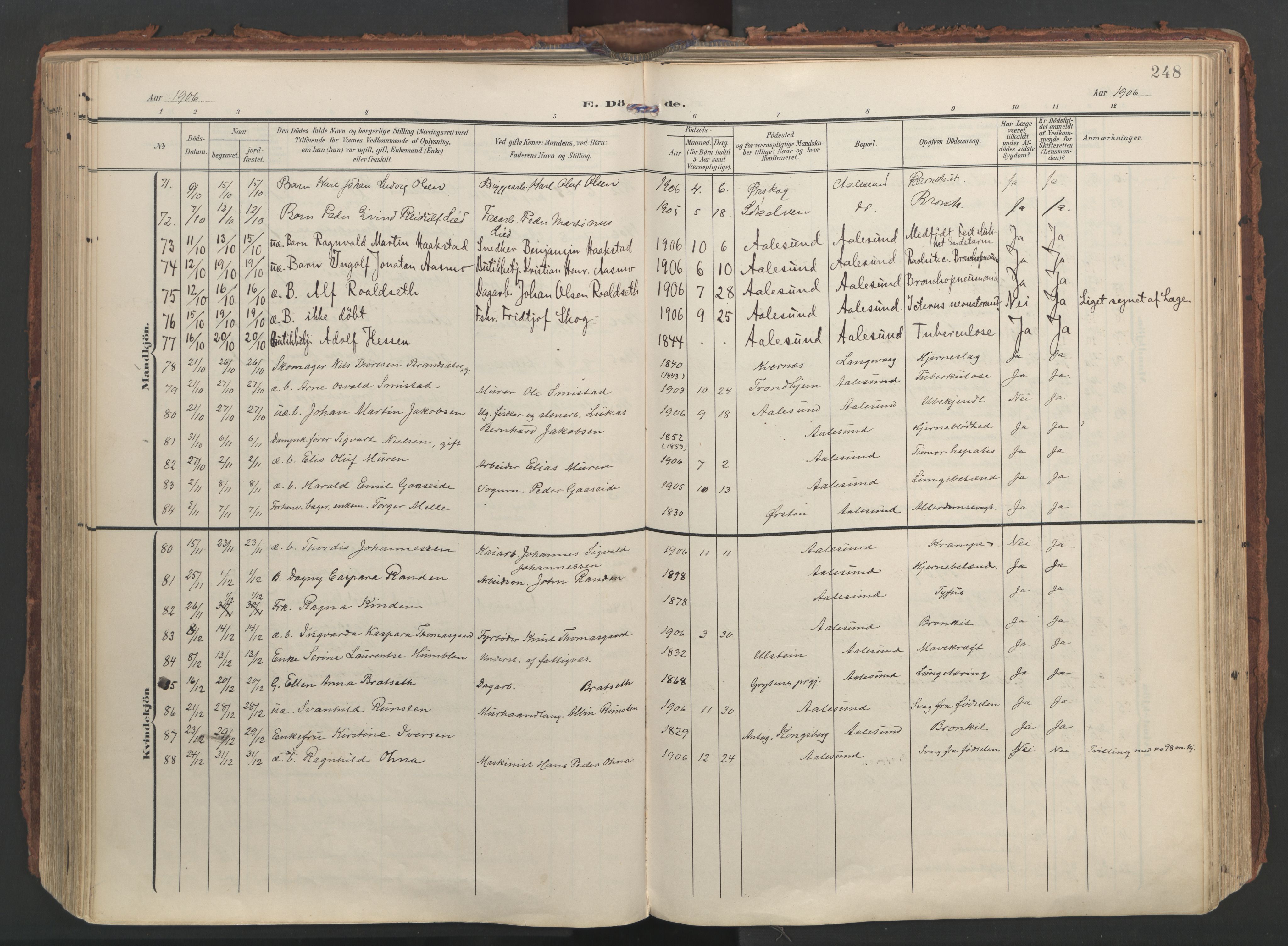 Ministerialprotokoller, klokkerbøker og fødselsregistre - Møre og Romsdal, AV/SAT-A-1454/529/L0459: Ministerialbok nr. 529A09, 1904-1917, s. 248