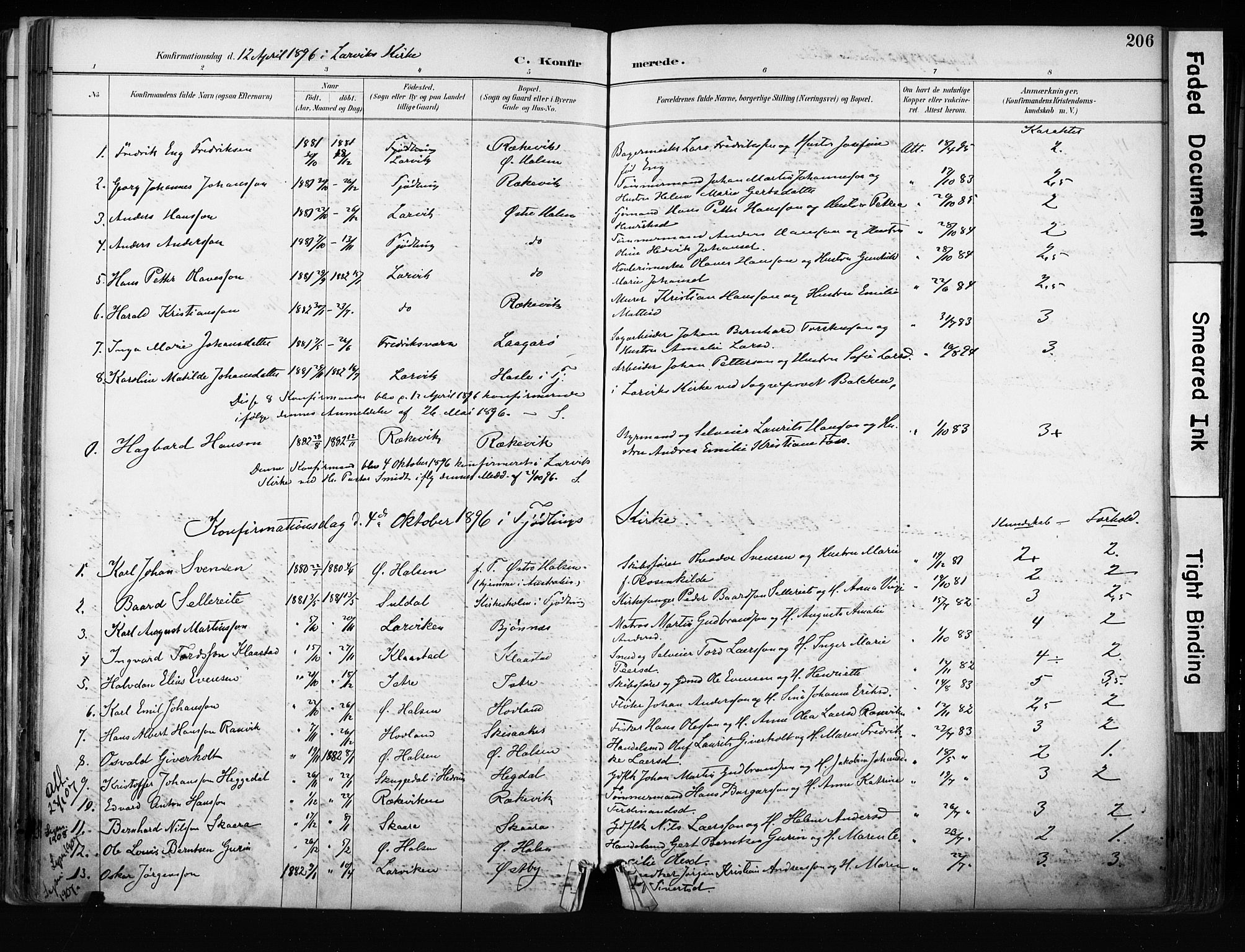 Tjølling kirkebøker, AV/SAKO-A-60/F/Fa/L0009: Ministerialbok nr. 9, 1887-1905, s. 206