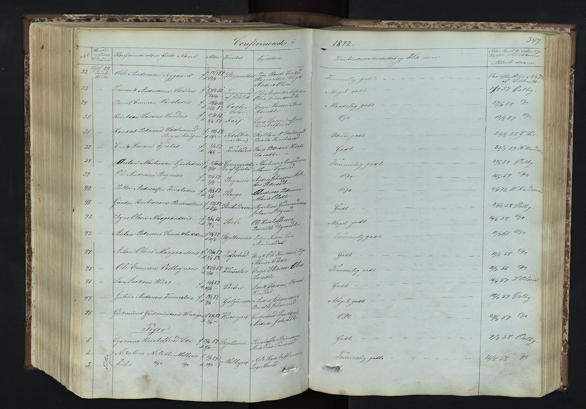 Romedal prestekontor, AV/SAH-PREST-004/L/L0011: Klokkerbok nr. 11, 1867-1895, s. 347