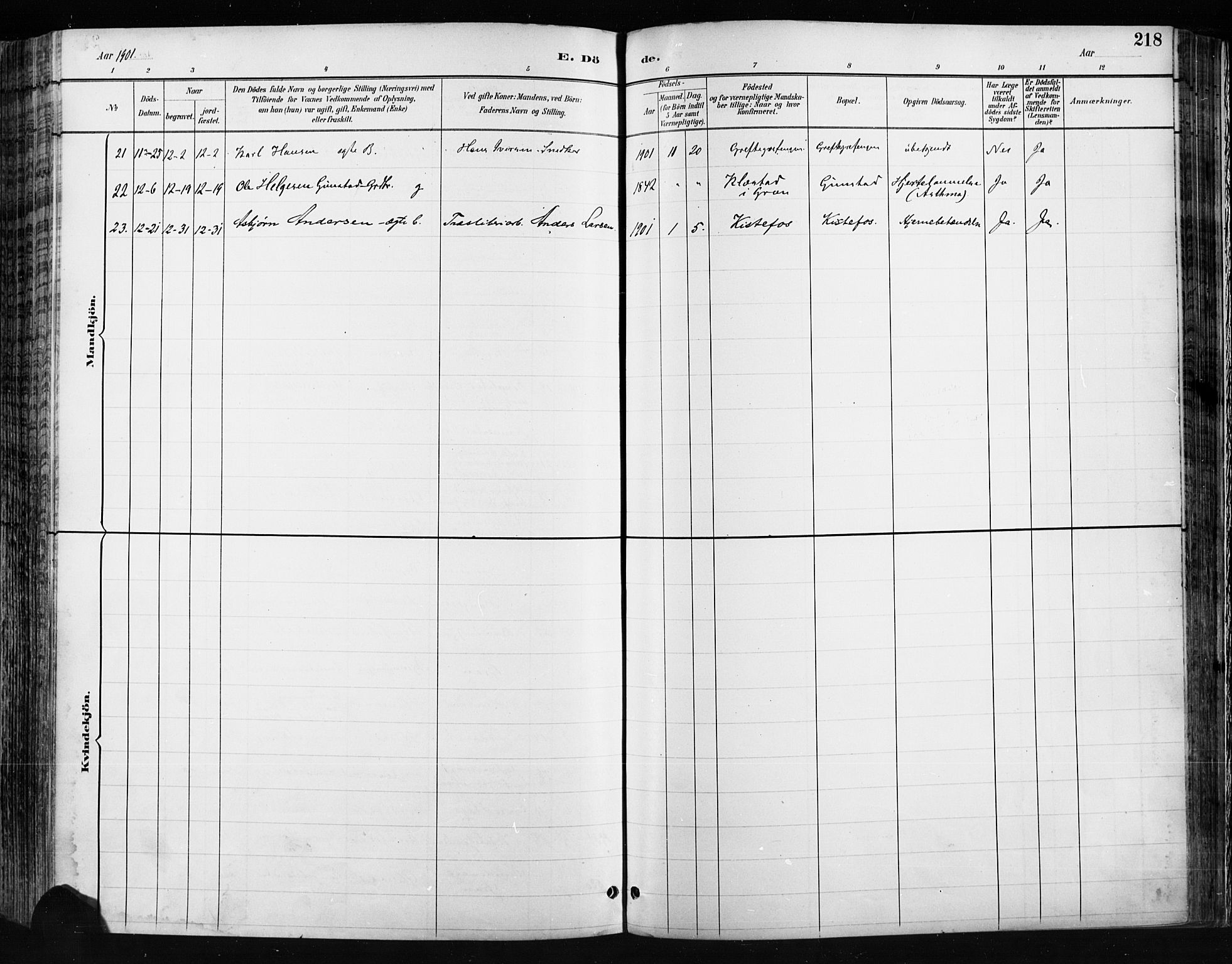 Jevnaker prestekontor, SAH/PREST-116/H/Ha/Haa/L0009: Ministerialbok nr. 9, 1891-1901, s. 218