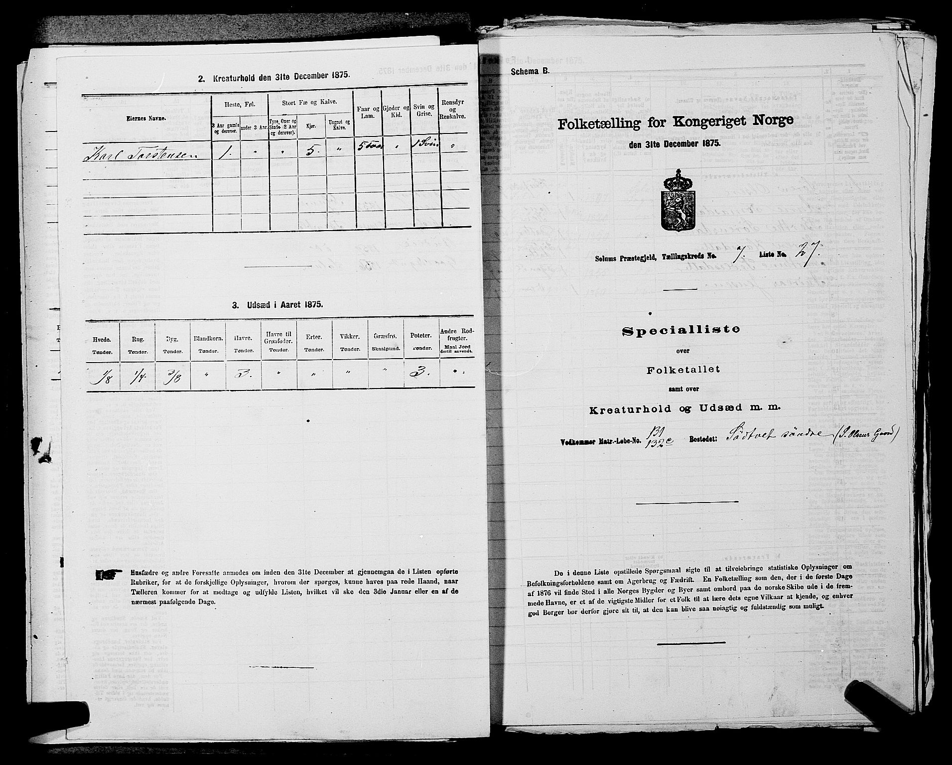 SAKO, Folketelling 1875 for 0818P Solum prestegjeld, 1875, s. 1267