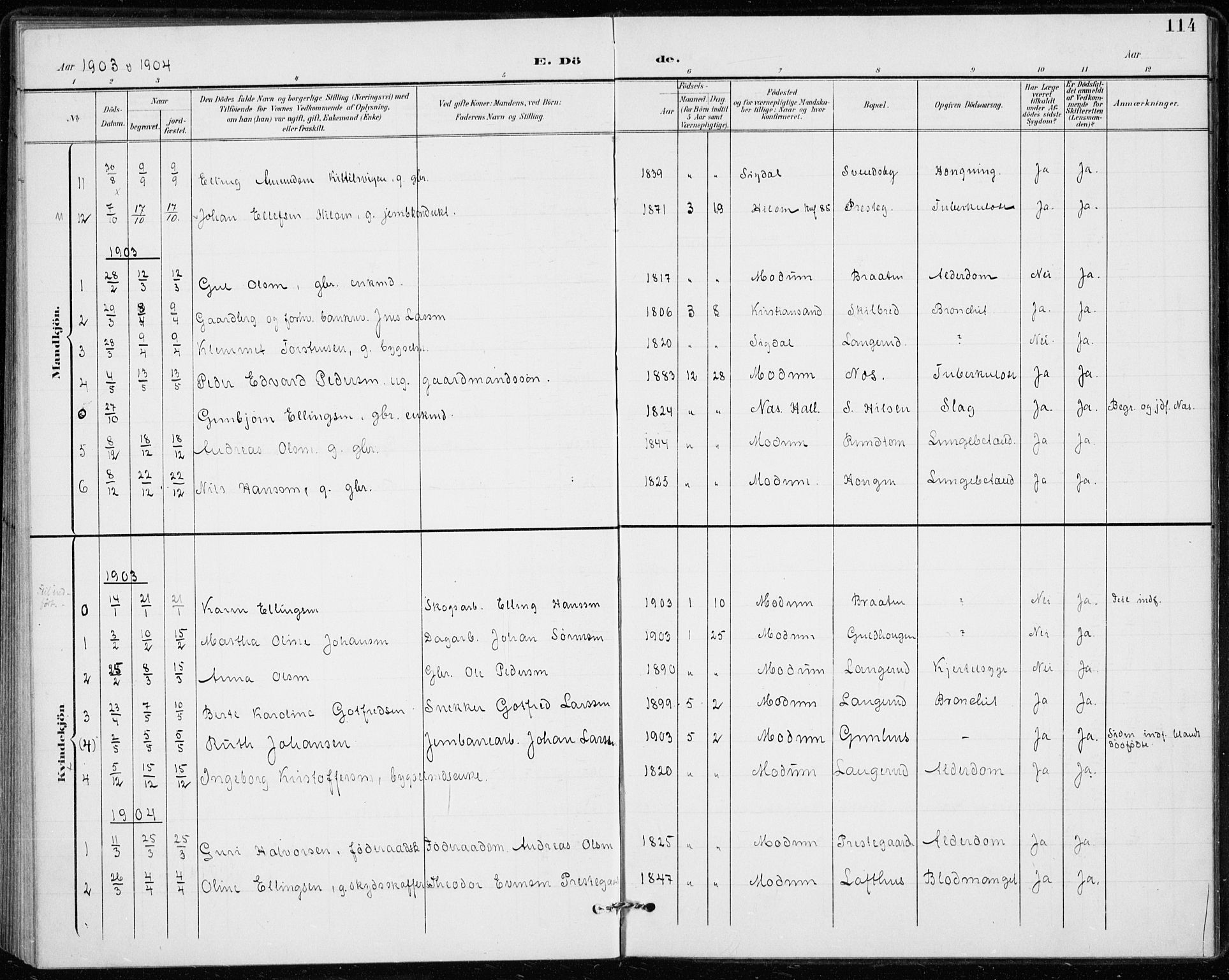 Modum kirkebøker, AV/SAKO-A-234/F/Fa/L0020: Ministerialbok nr. 20, 1900-1917, s. 114