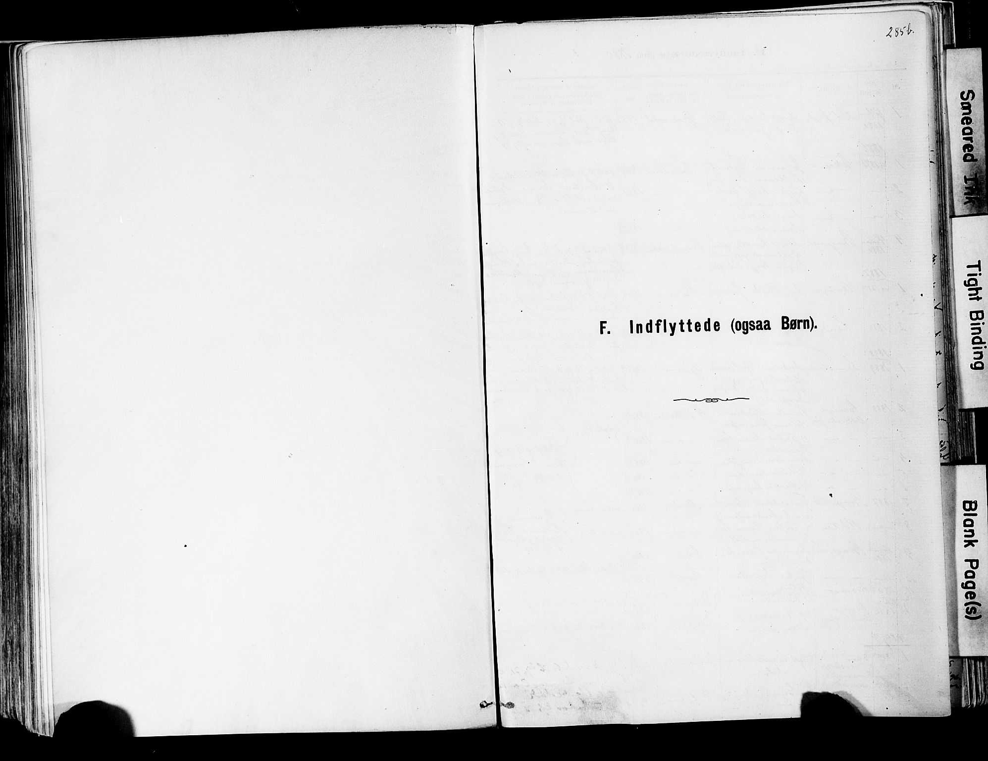 Strømsgodset kirkebøker, SAKO/A-324/F/Fa/L0001: Ministerialbok nr. 1, 1885-1909, s. 285