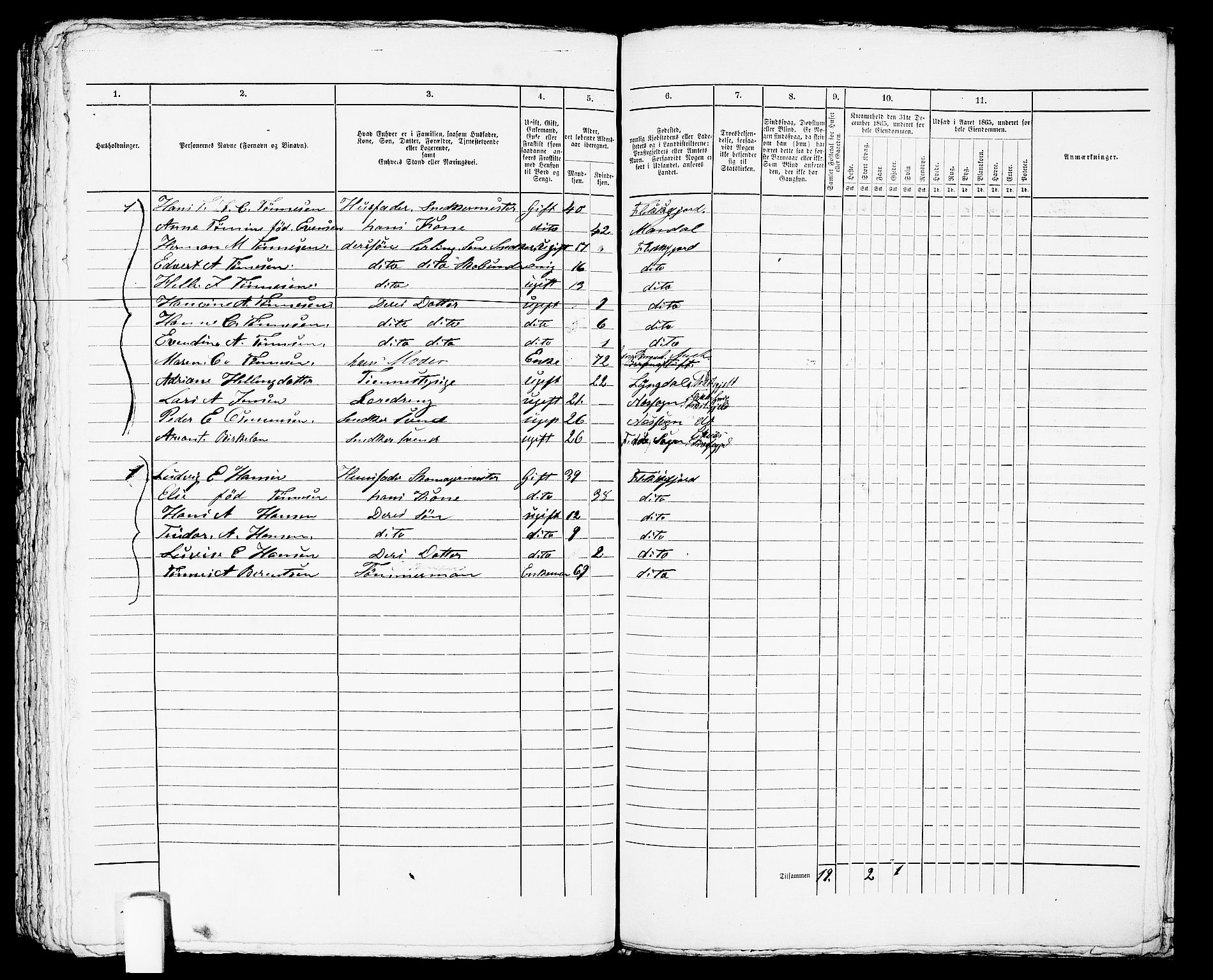 RA, Folketelling 1865 for 1004B Flekkefjord prestegjeld, Flekkefjord kjøpstad, 1865, s. 451