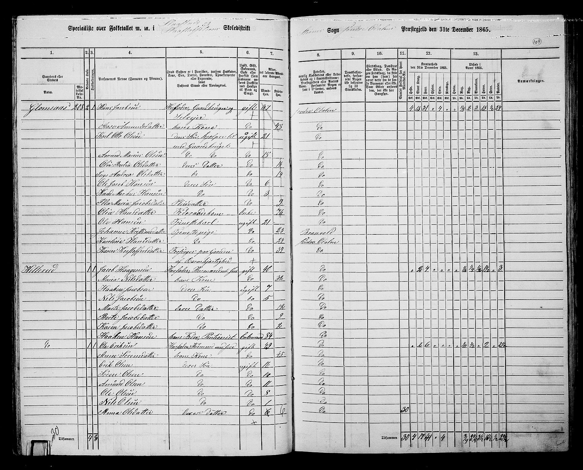 RA, Folketelling 1865 for 0419P Sør-Odal prestegjeld, 1865, s. 99